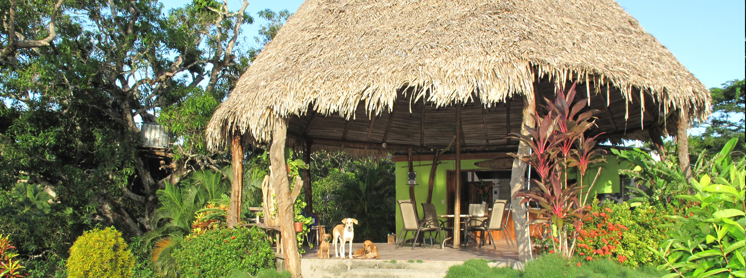 6 bed Single Family Homes For Sale in Paquera, Puntarenas - thumb 17