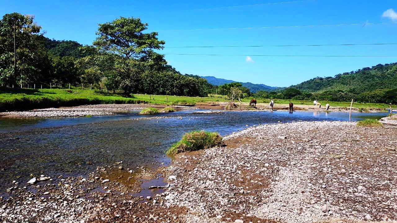 8 bed Land For Sale in Paquera, Puntarenas - thumb 7