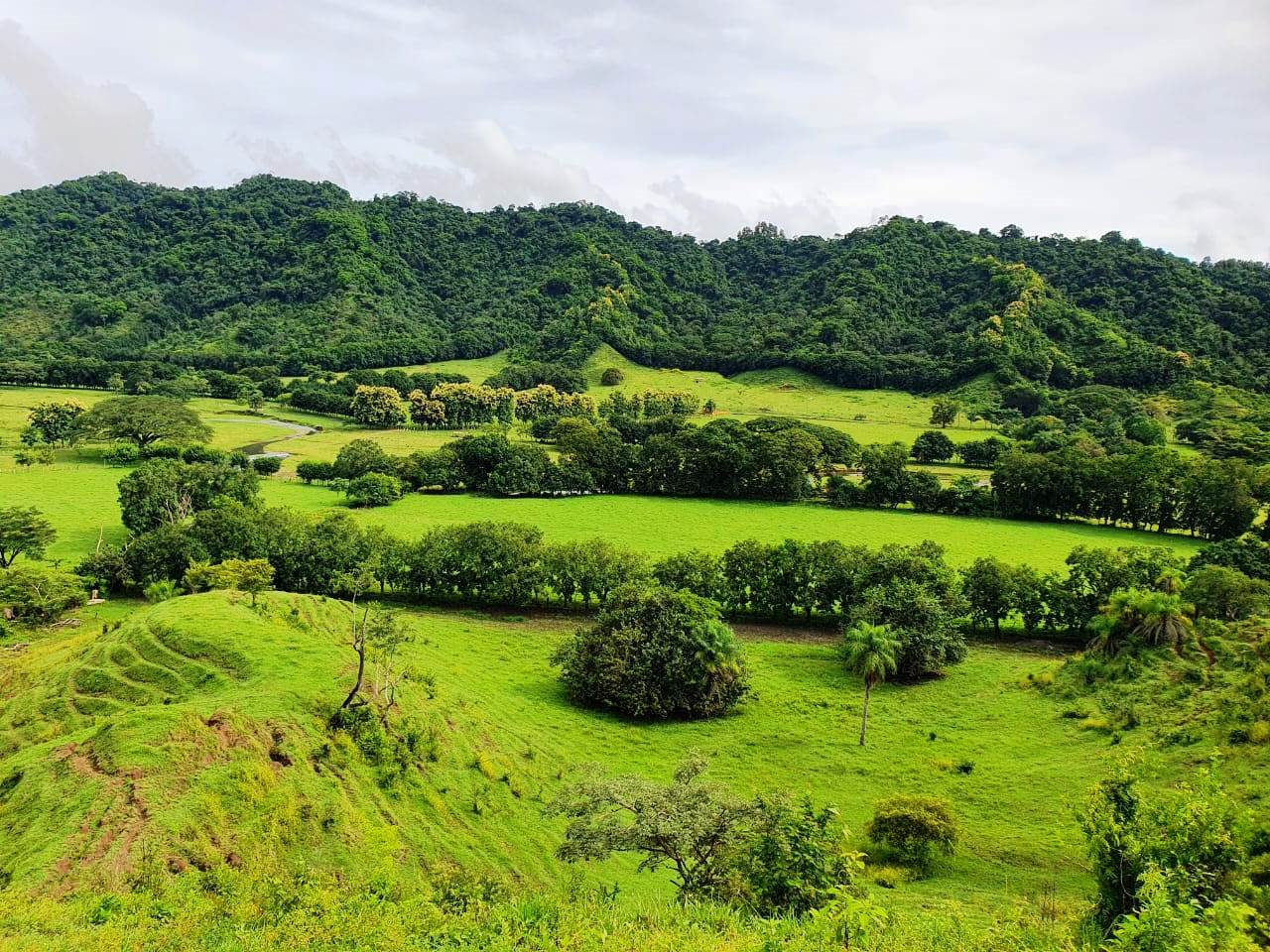 8 bed Land For Sale in Paquera, Puntarenas - thumb 10