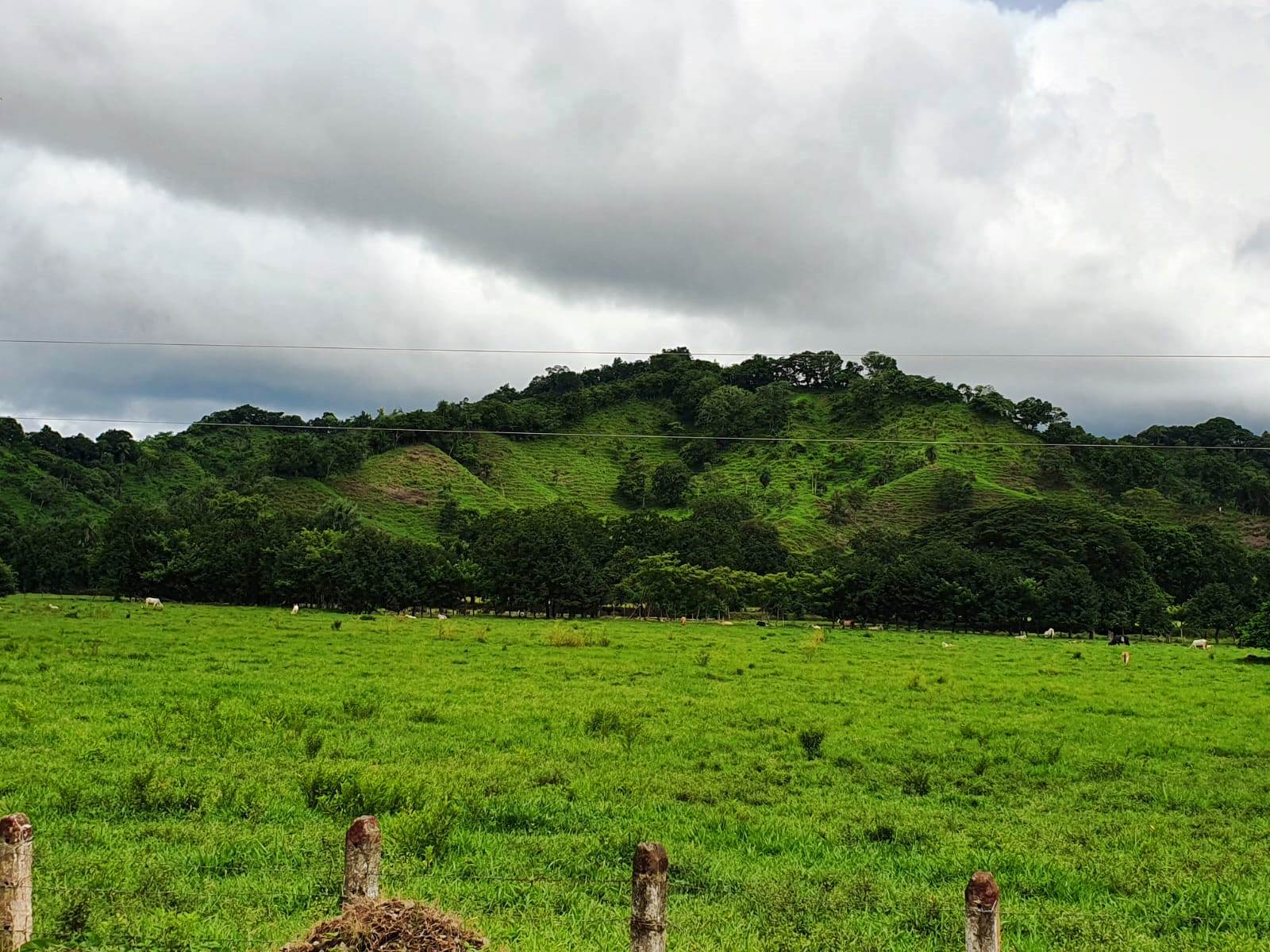 8 bed Land For Sale in Paquera, Puntarenas - thumb 9