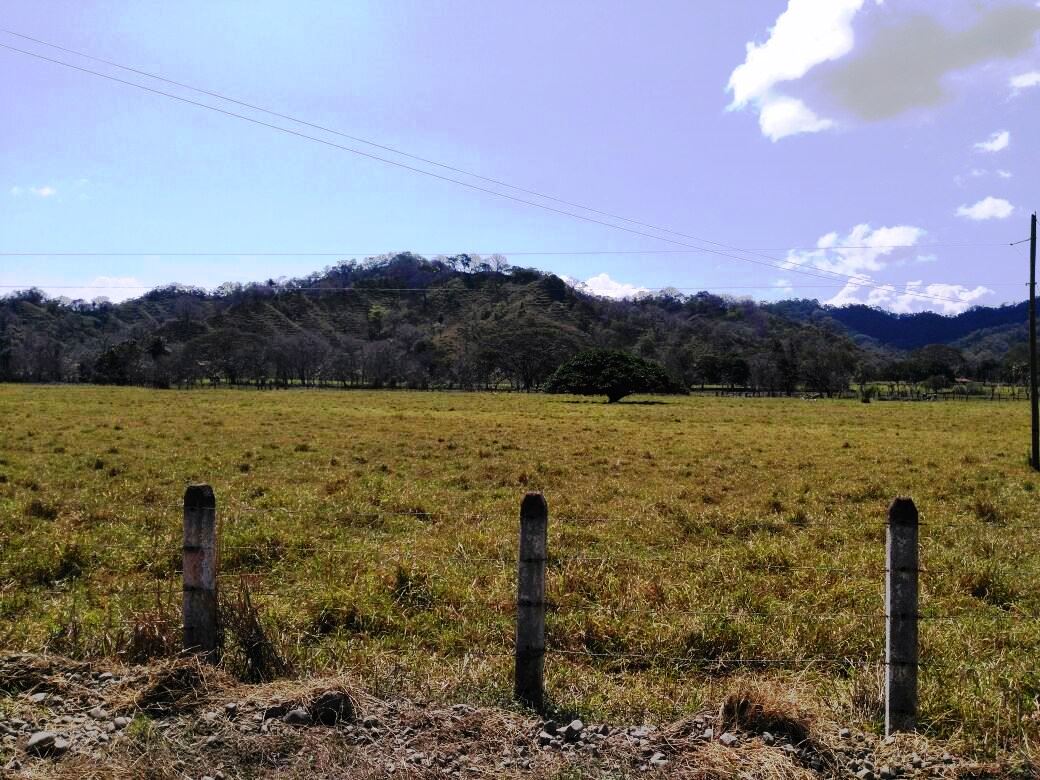 8 bed Land For Sale in Paquera, Puntarenas - thumb 8