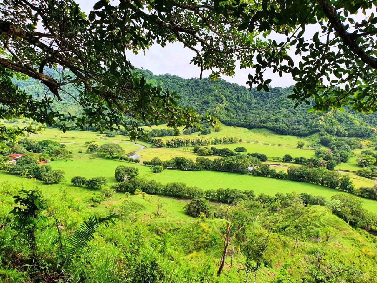 8 bed Land For Sale in Paquera, Puntarenas - thumb 1