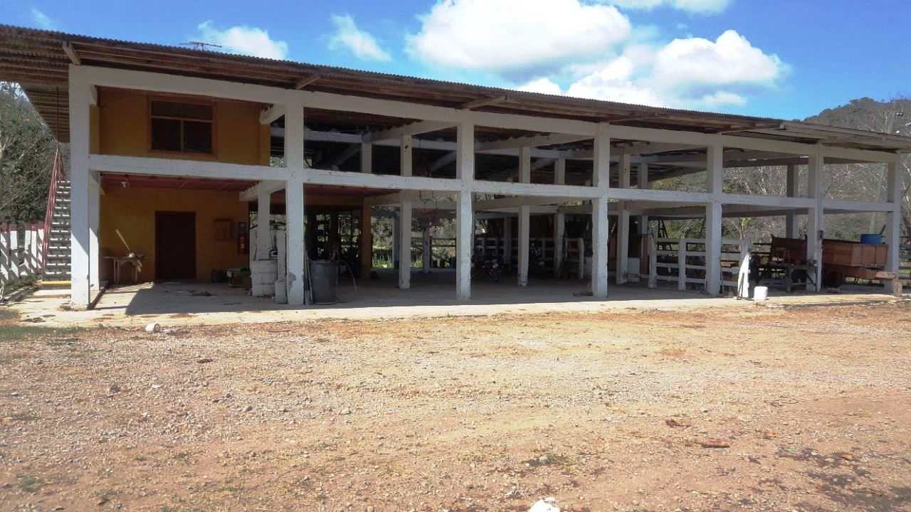 8 bed Land For Sale in Paquera, Puntarenas - thumb 13