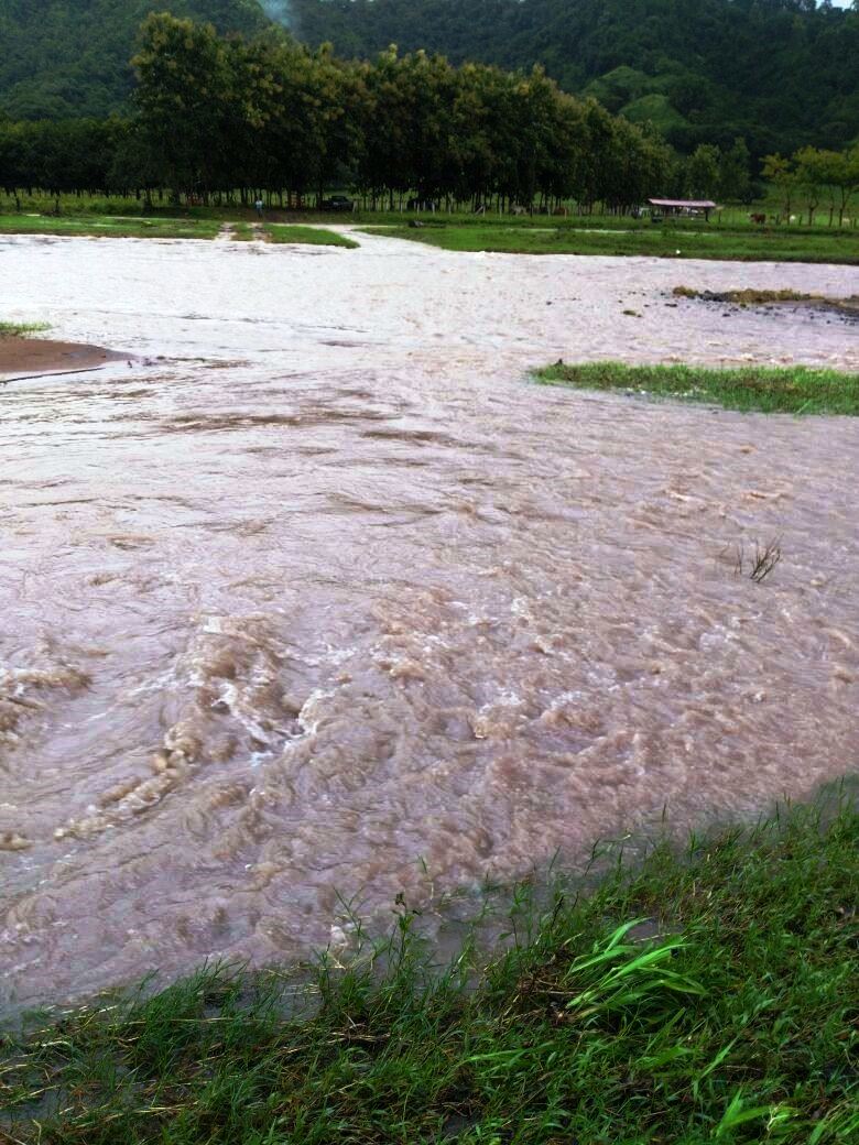 8 bed Land For Sale in Paquera, Puntarenas - thumb 5