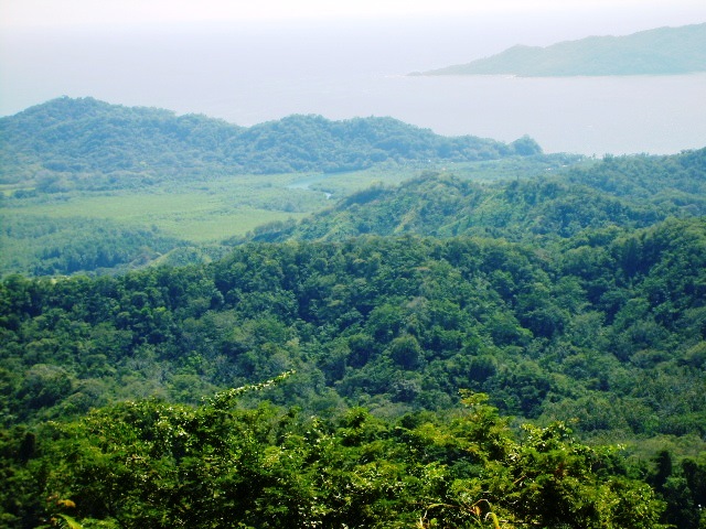 0 bed Land For Sale in Paquera, Puntarenas - thumb 9