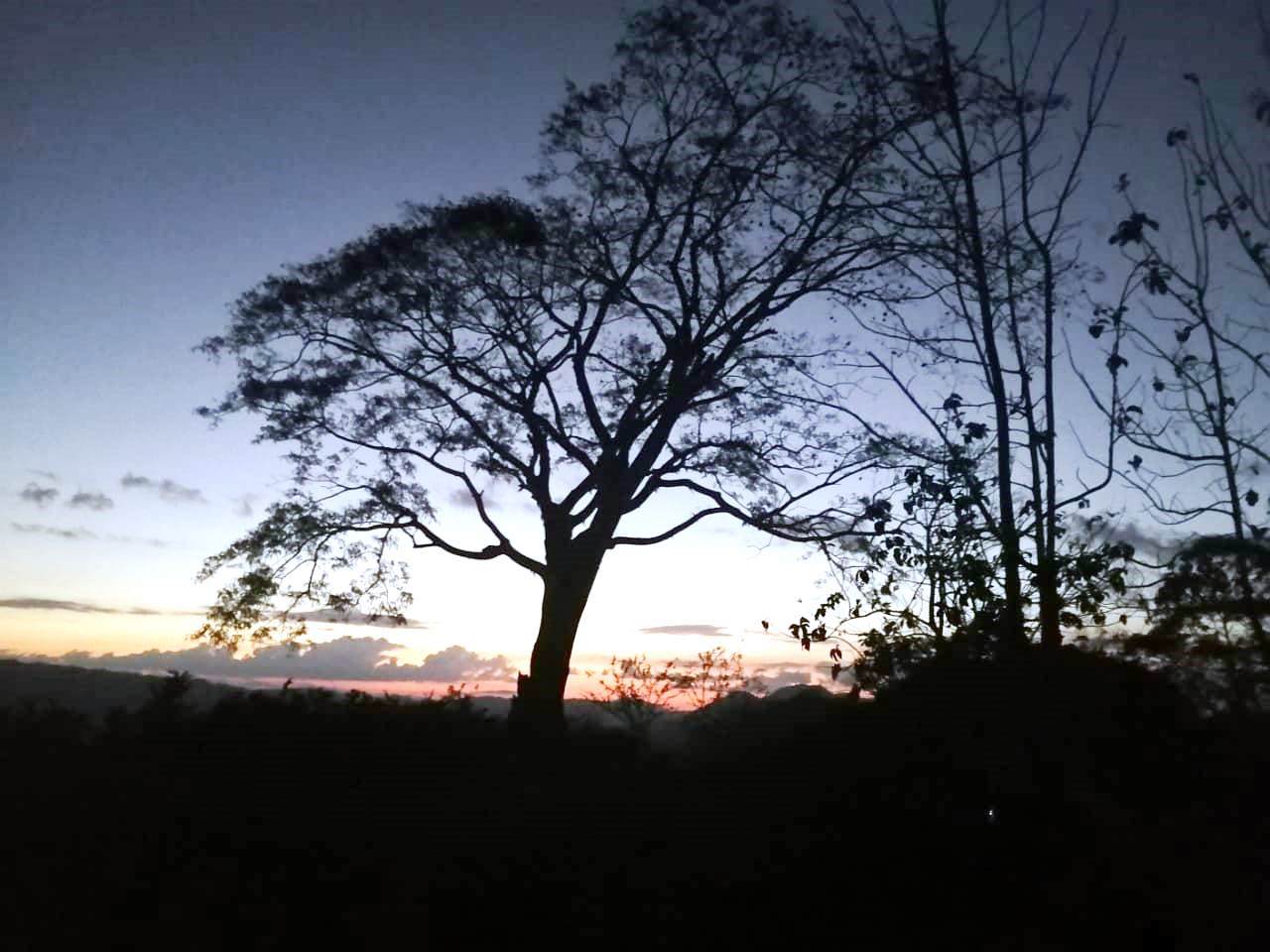 0 bed Land For Sale in Paquera, Puntarenas - thumb 6