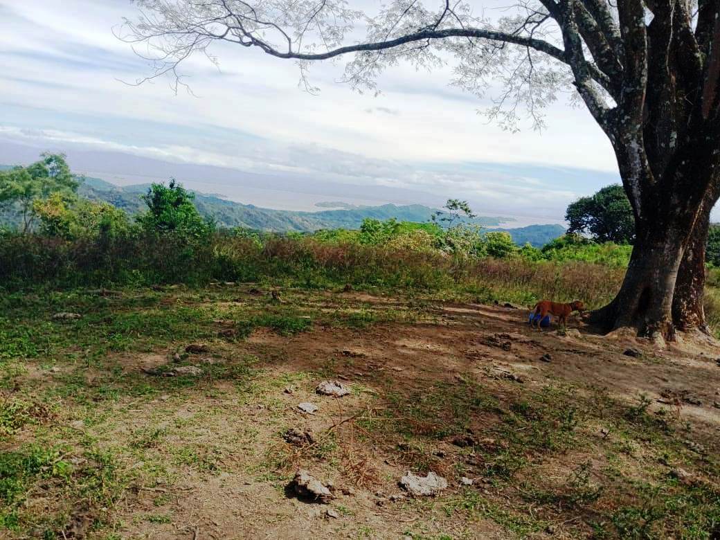 0 bed Land For Sale in Paquera, Puntarenas - thumb 2