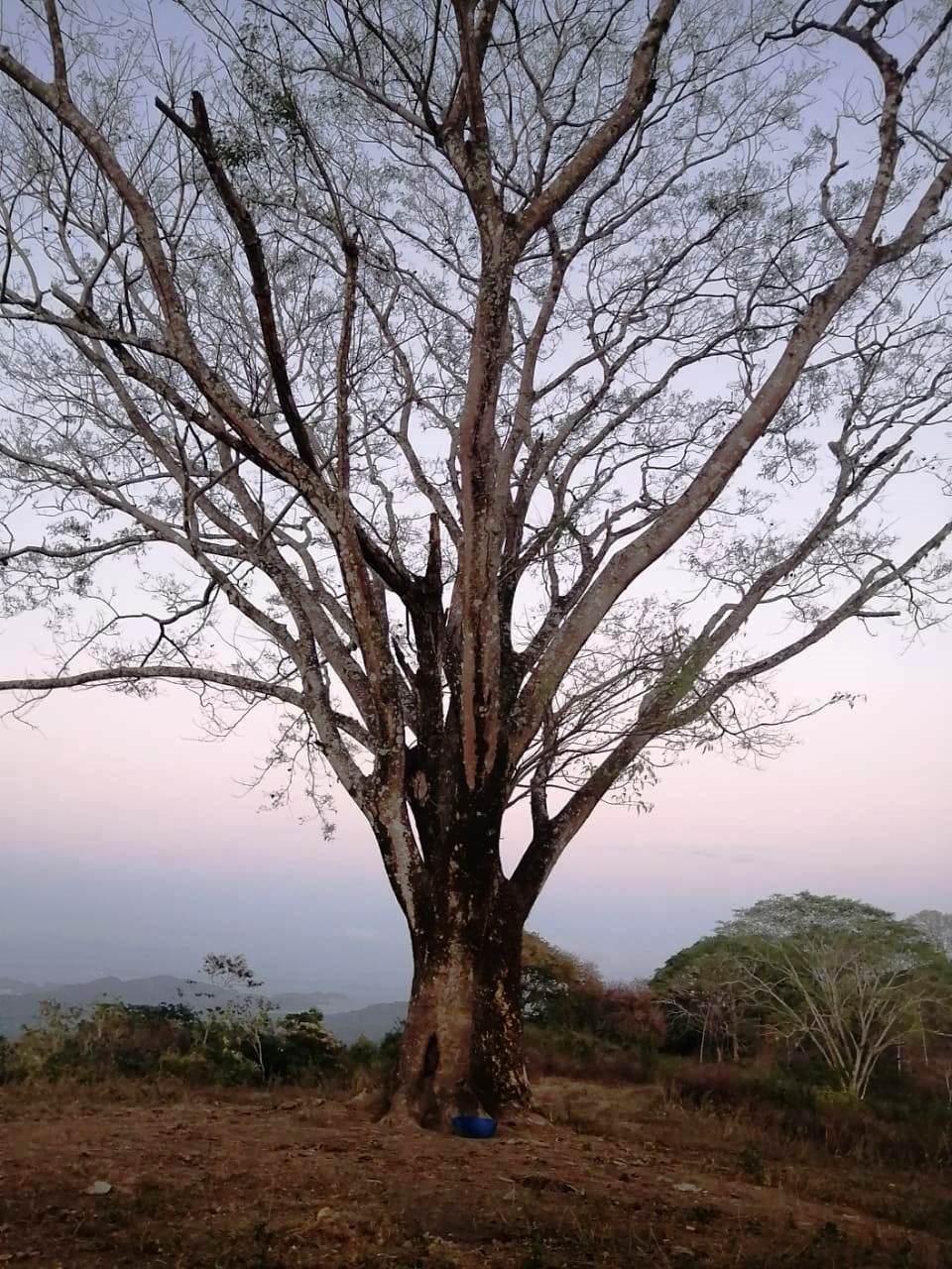 0 bed Land For Sale in Paquera, Puntarenas - thumb 8