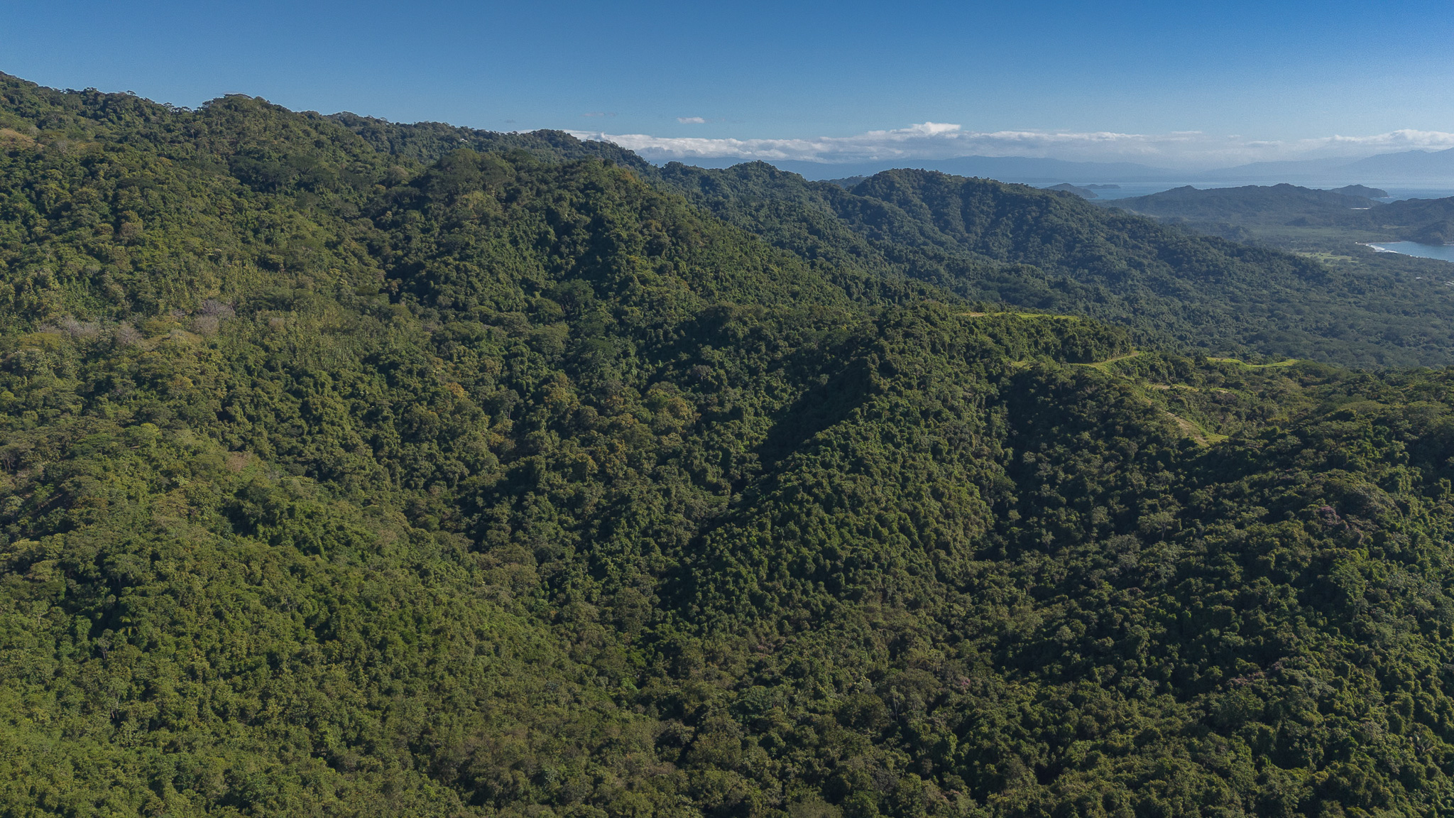 0 bed Land For Sale in Tambor, Puntarenas - thumb 7