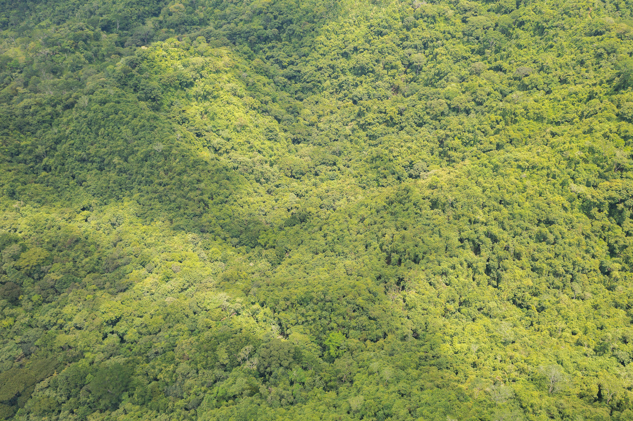 0 bed Land For Sale in Tambor, Puntarenas - thumb 10