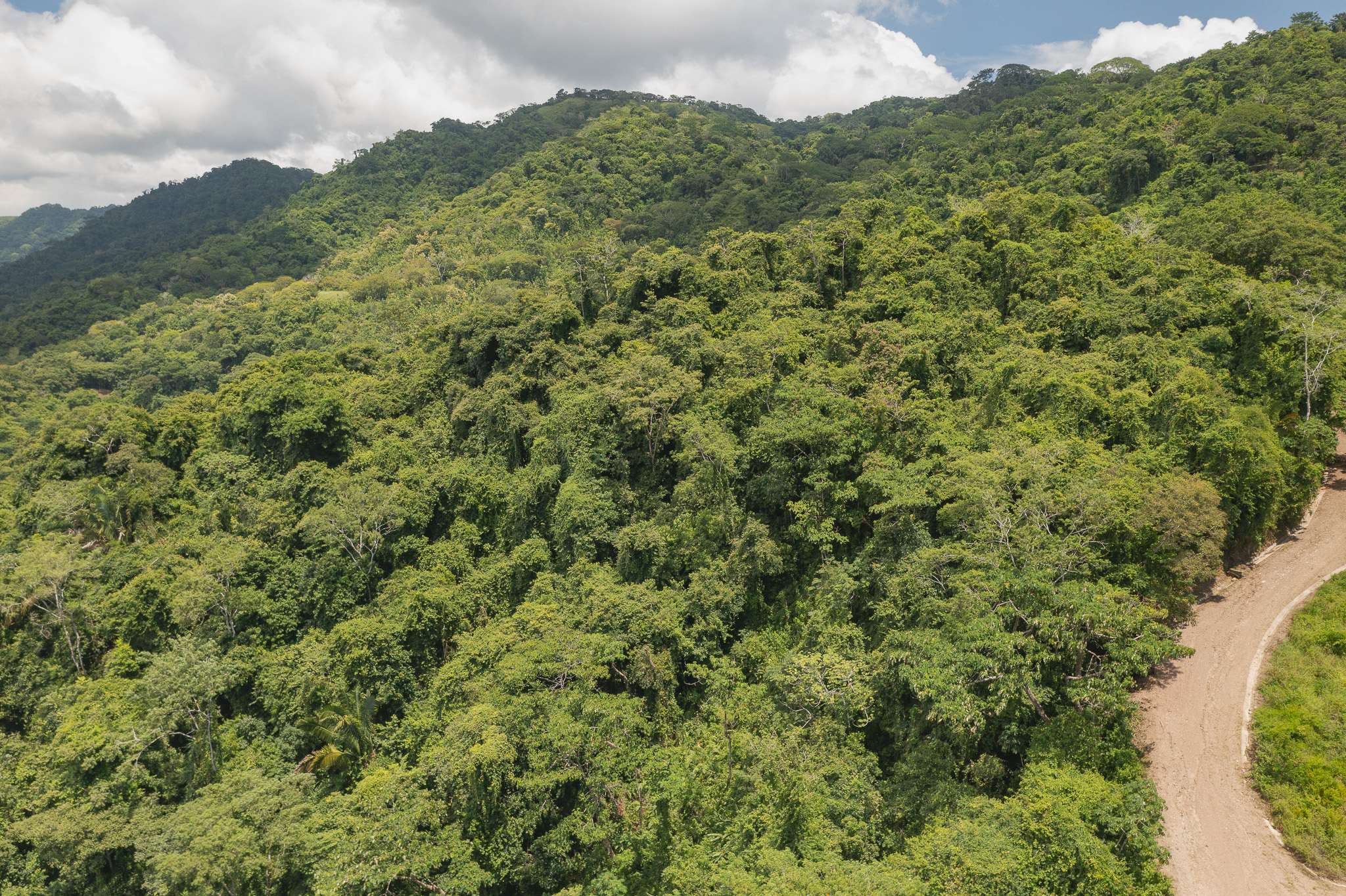 0 bed Land For Sale in Tambor, Puntarenas - thumb 12