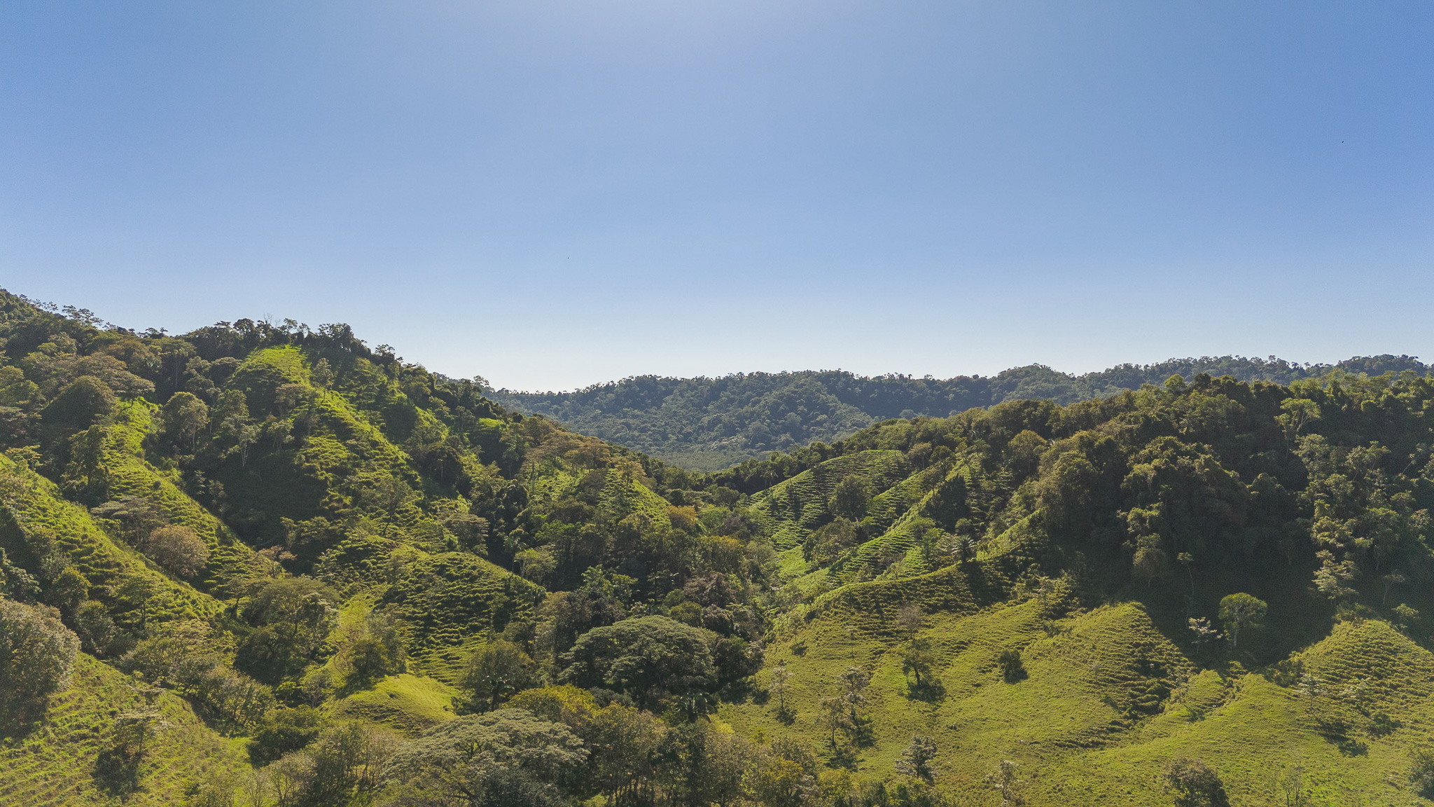 0 bed Land For Sale in Tambor, Puntarenas - thumb 4