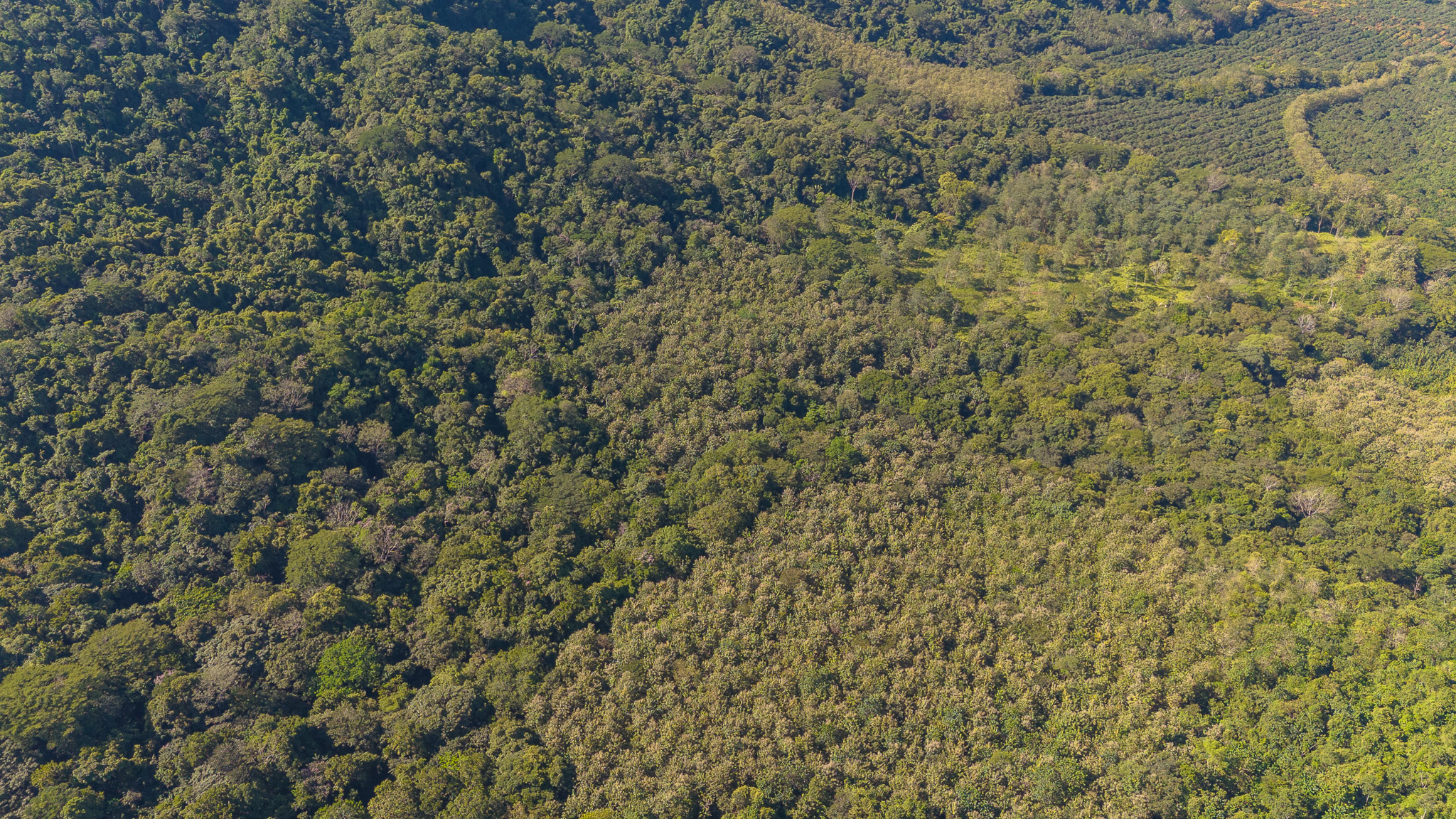 0 bed Land For Sale in Tambor, Puntarenas - thumb 5