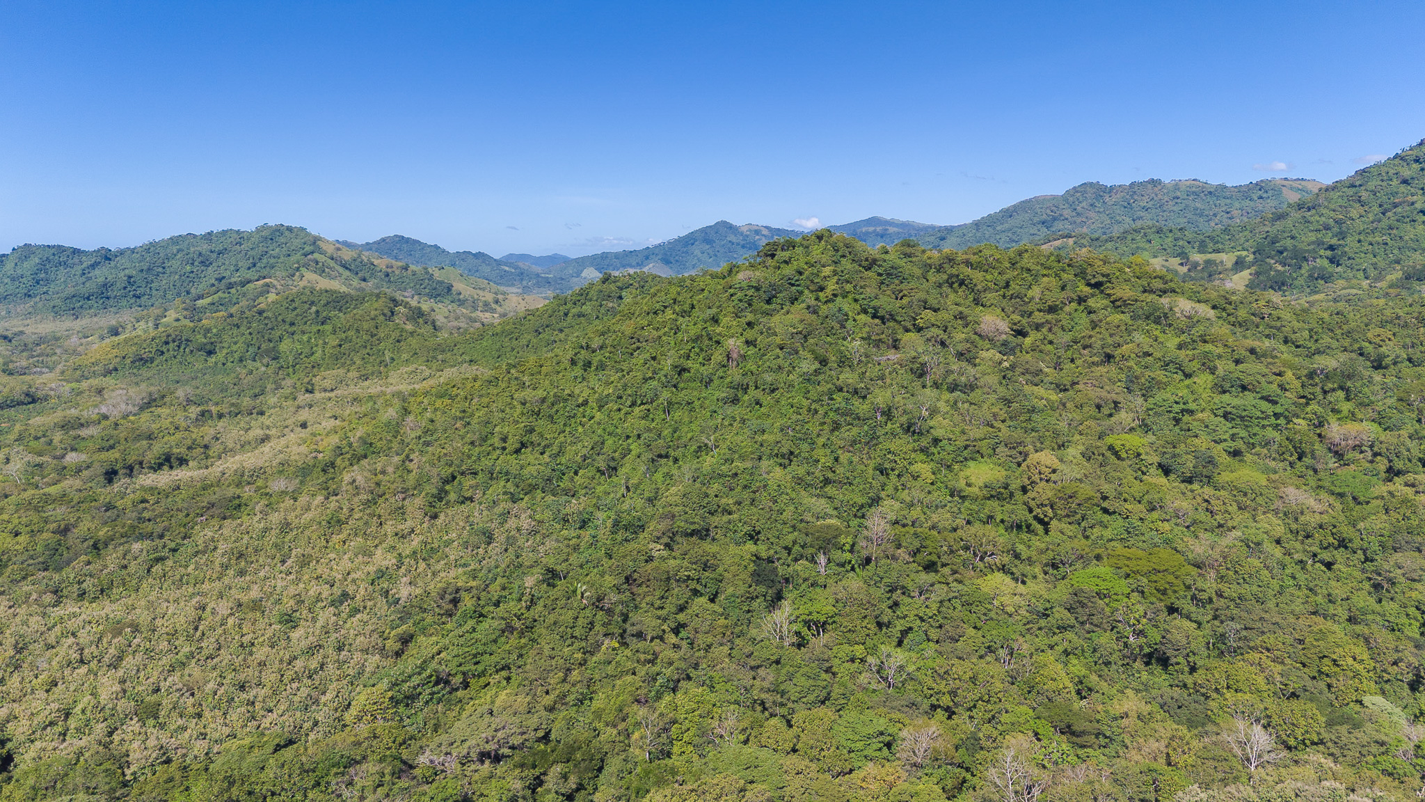 0 bed Land For Sale in Tambor, Puntarenas - thumb 6