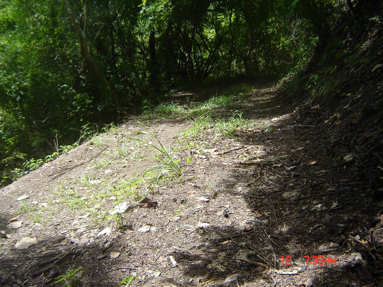 4 bed Land For Sale in Paquera, Puntarenas - thumb 7