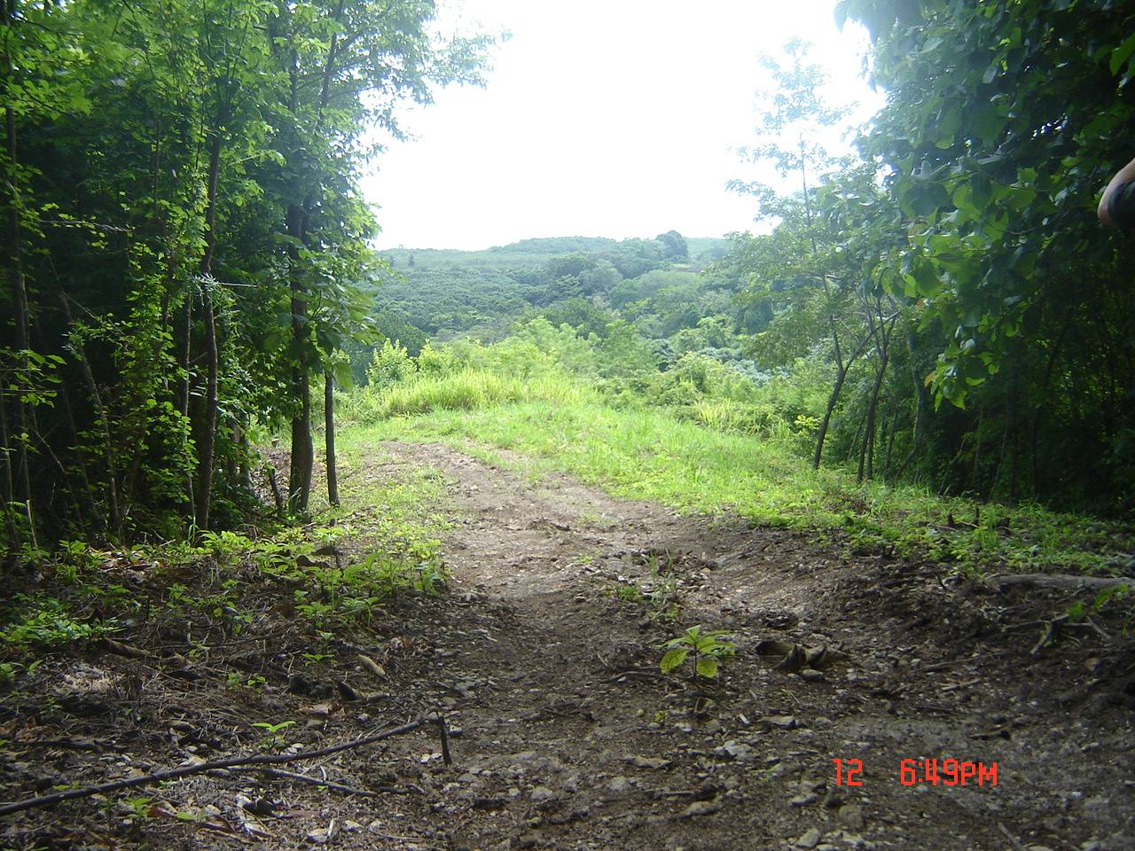 4 bed Land For Sale in Paquera, Puntarenas - thumb 5