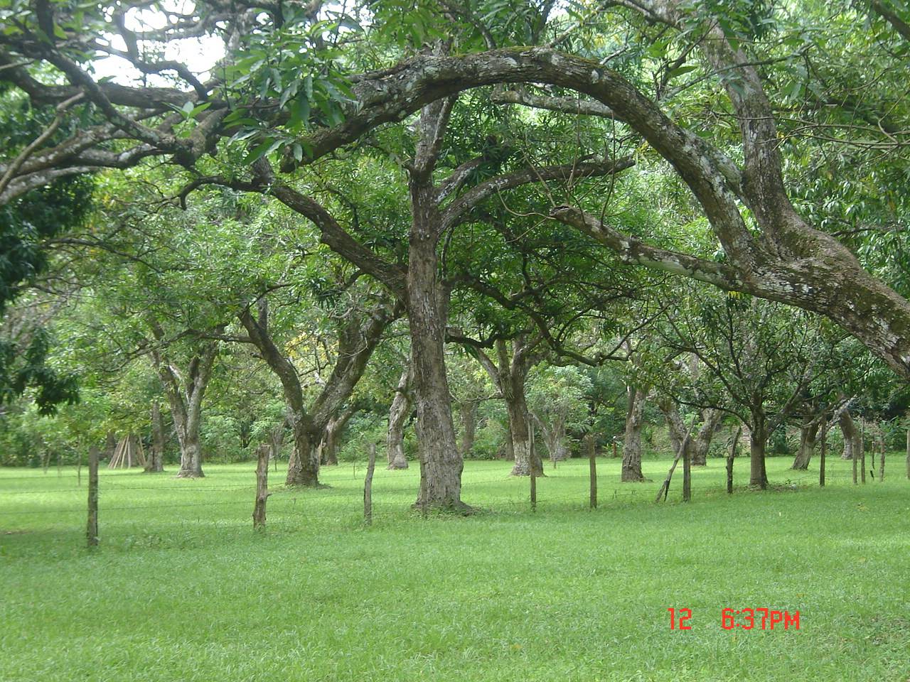 4 bed Land For Sale in Paquera, Puntarenas - thumb 12