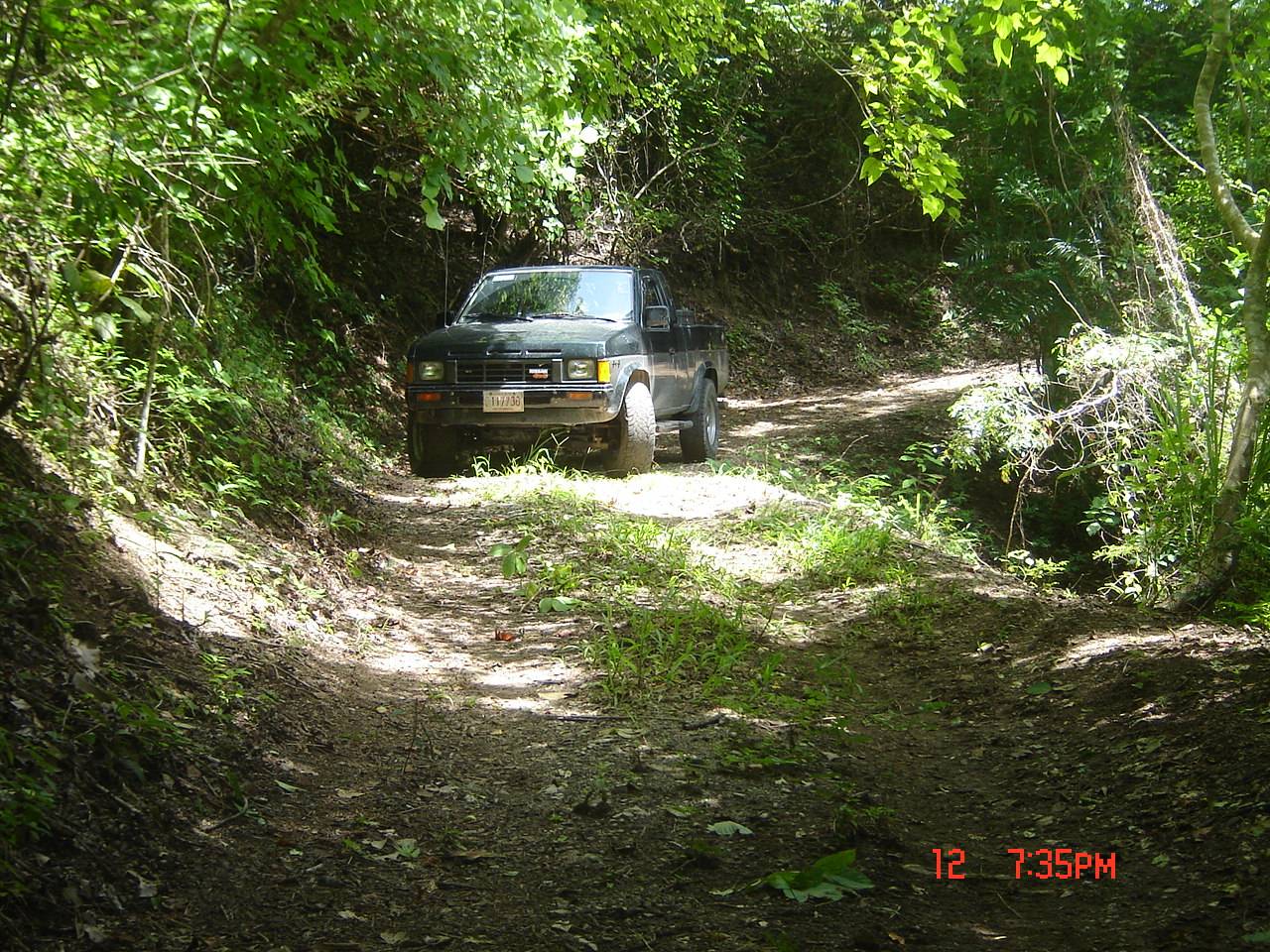 4 bed Land For Sale in Paquera, Puntarenas - thumb 8