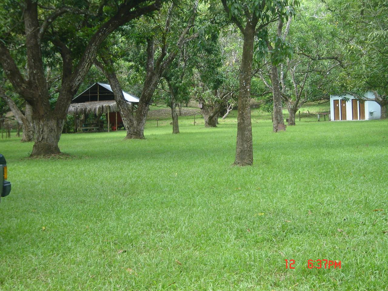 4 bed Land For Sale in Paquera, Puntarenas - thumb 2