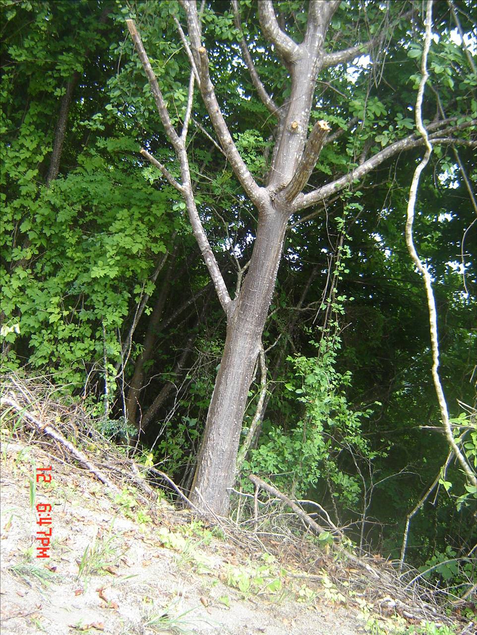 4 bed Land For Sale in Paquera, Puntarenas - thumb 10