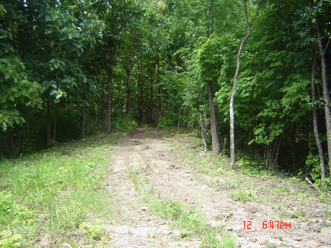 4 bed Land For Sale in Paquera, Puntarenas - thumb 6