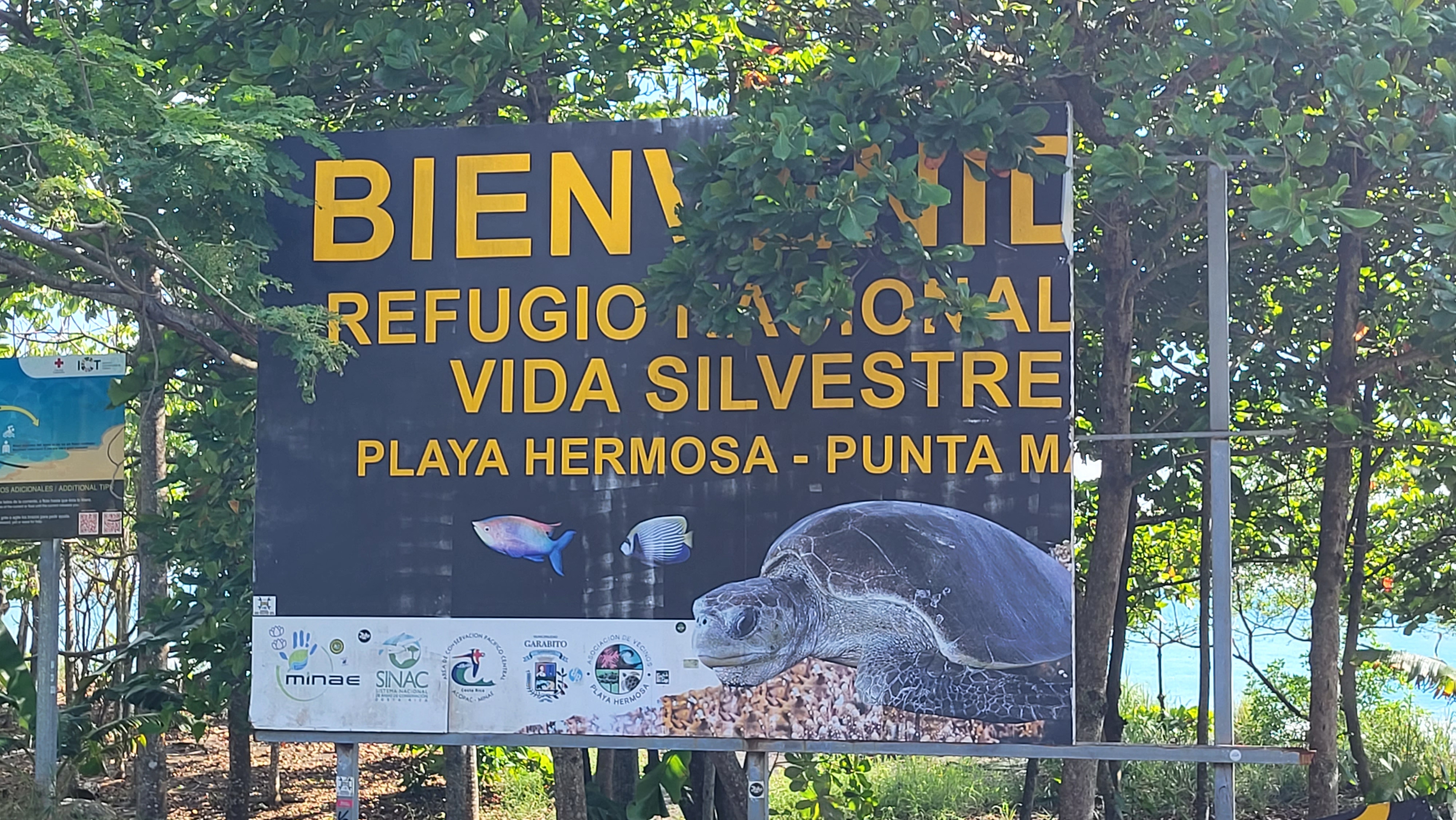 4 bed Single Family Homes For Sale in Playa Hermosa, Puntarenas - thumb 11