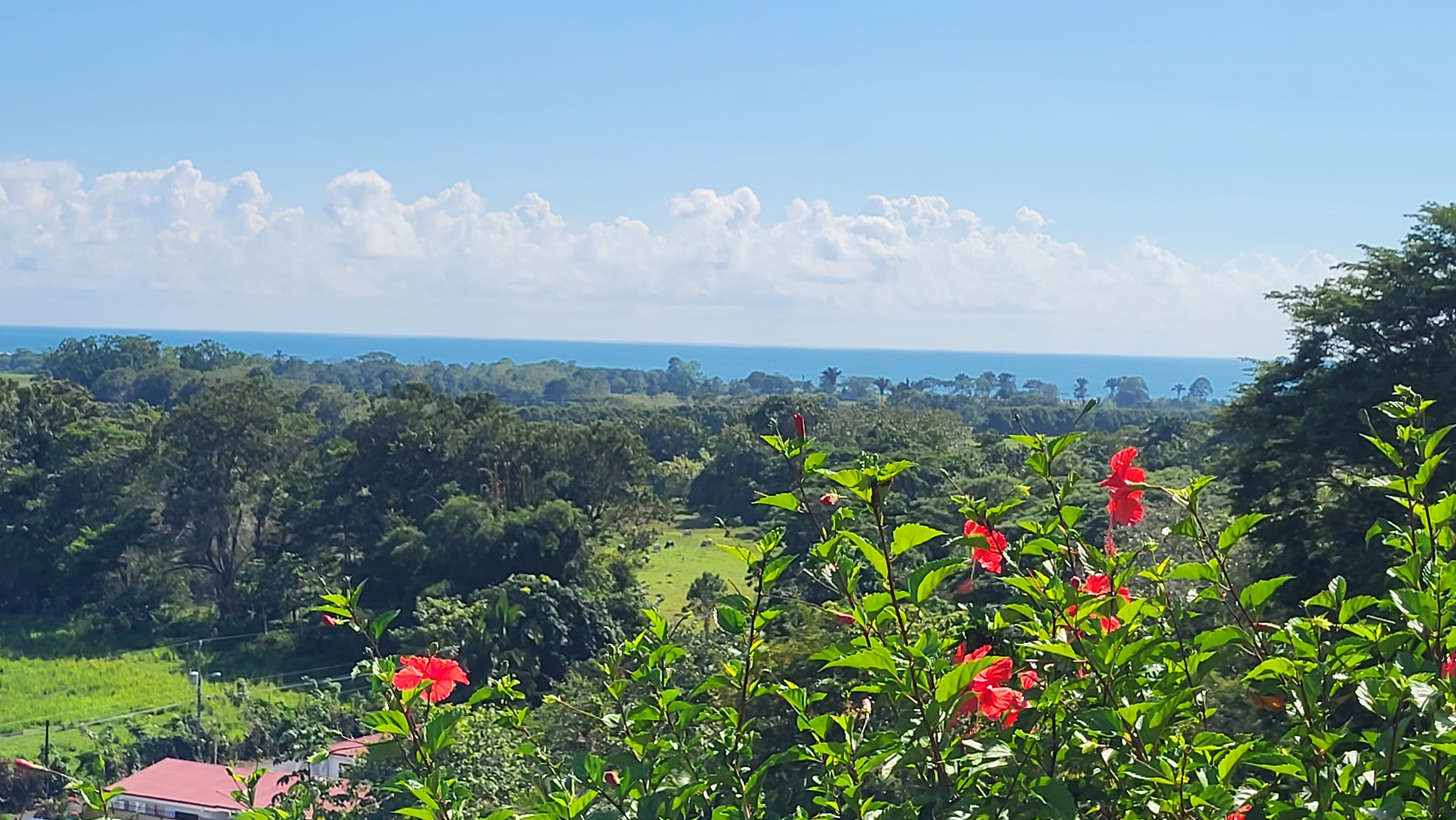 4 bed Single Family Homes For Sale in Playa Hermosa, Puntarenas - thumb 2