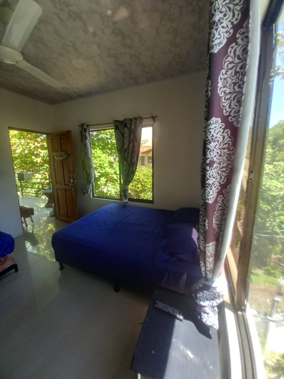 4 bed Commercial For Sale in Playa Hermosa, Puntarenas - thumb 12