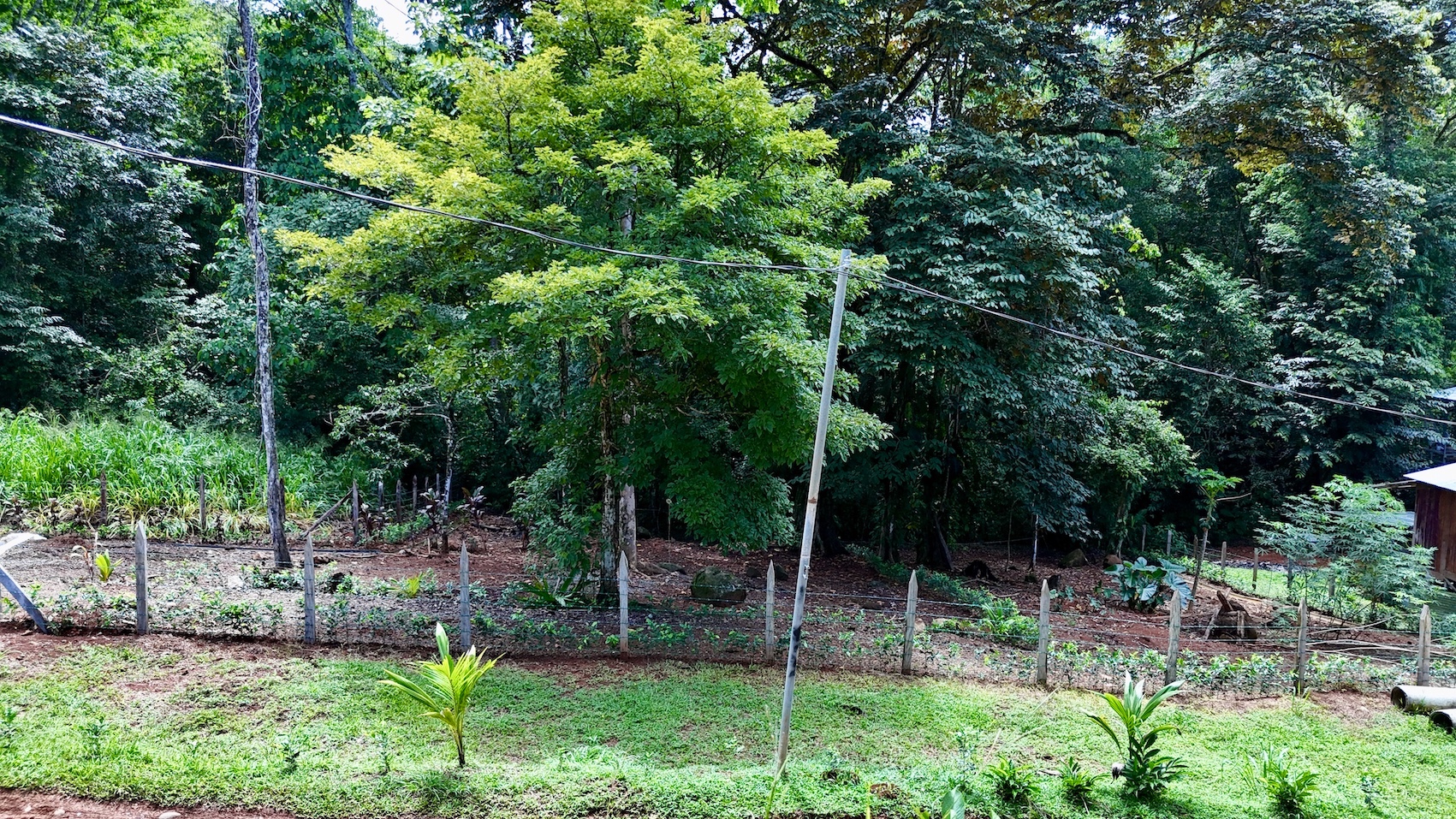 0 bed Land For Sale in Uvita, Puntarenas - thumb 8