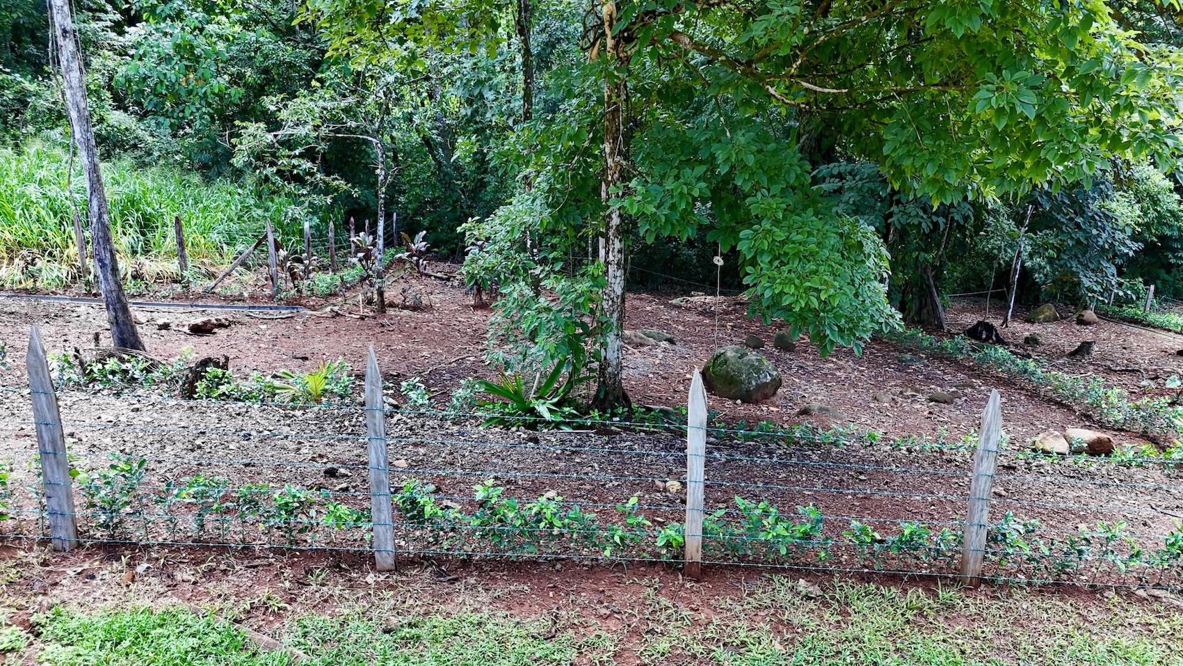 0 bed Land For Sale in Uvita, Puntarenas - thumb 11