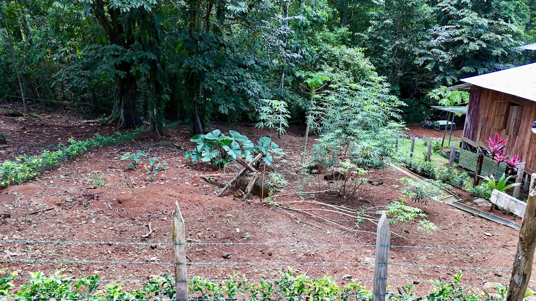 0 bed Land For Sale in Uvita, Puntarenas - thumb 10