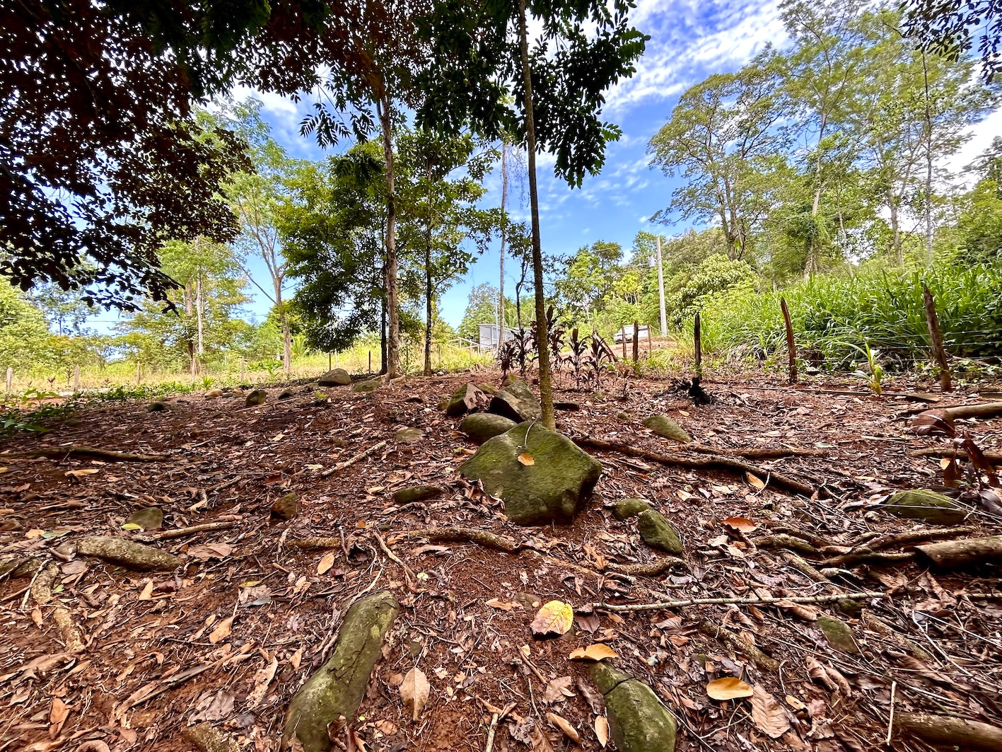 0 bed Land For Sale in Uvita, Puntarenas - thumb 23