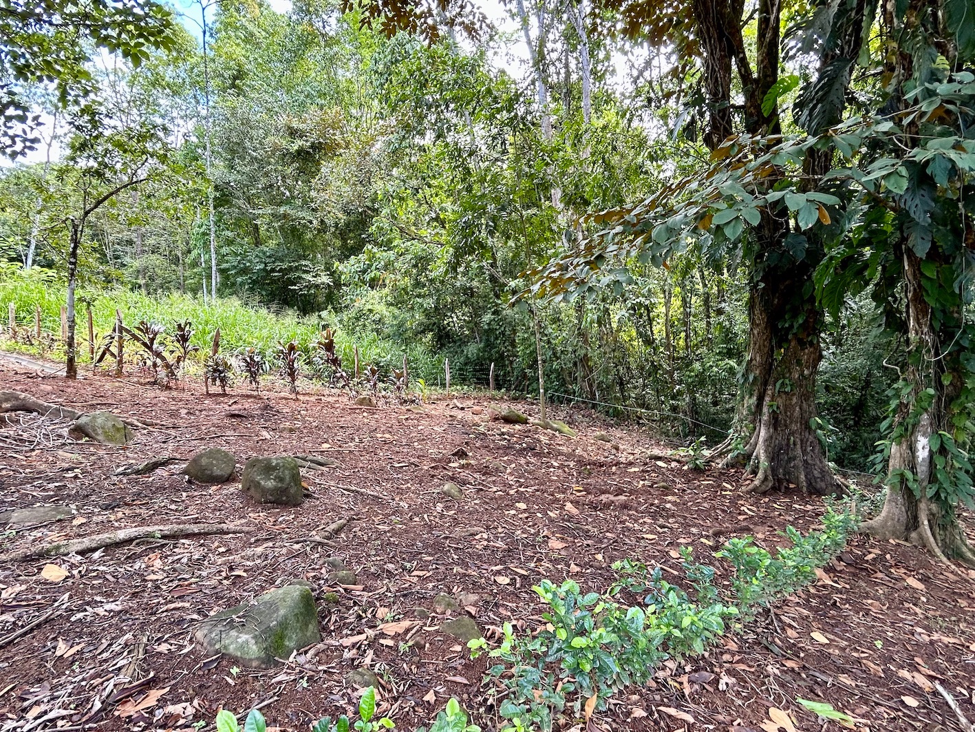0 bed Land For Sale in Uvita, Puntarenas - thumb 17