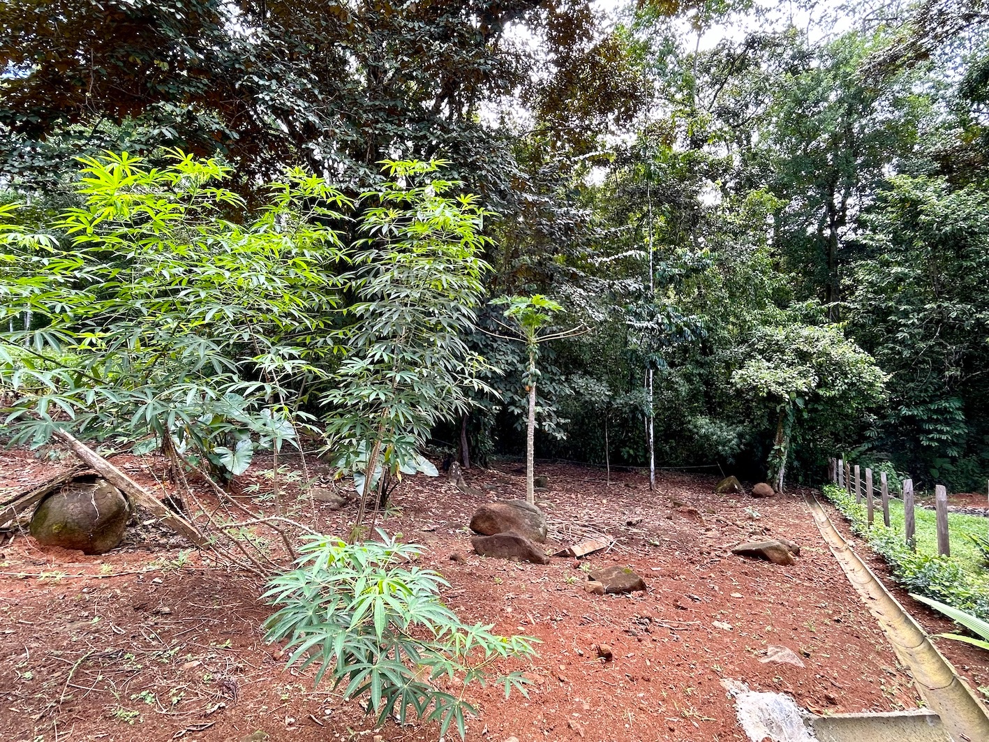 0 bed Land For Sale in Uvita, Puntarenas - thumb 18