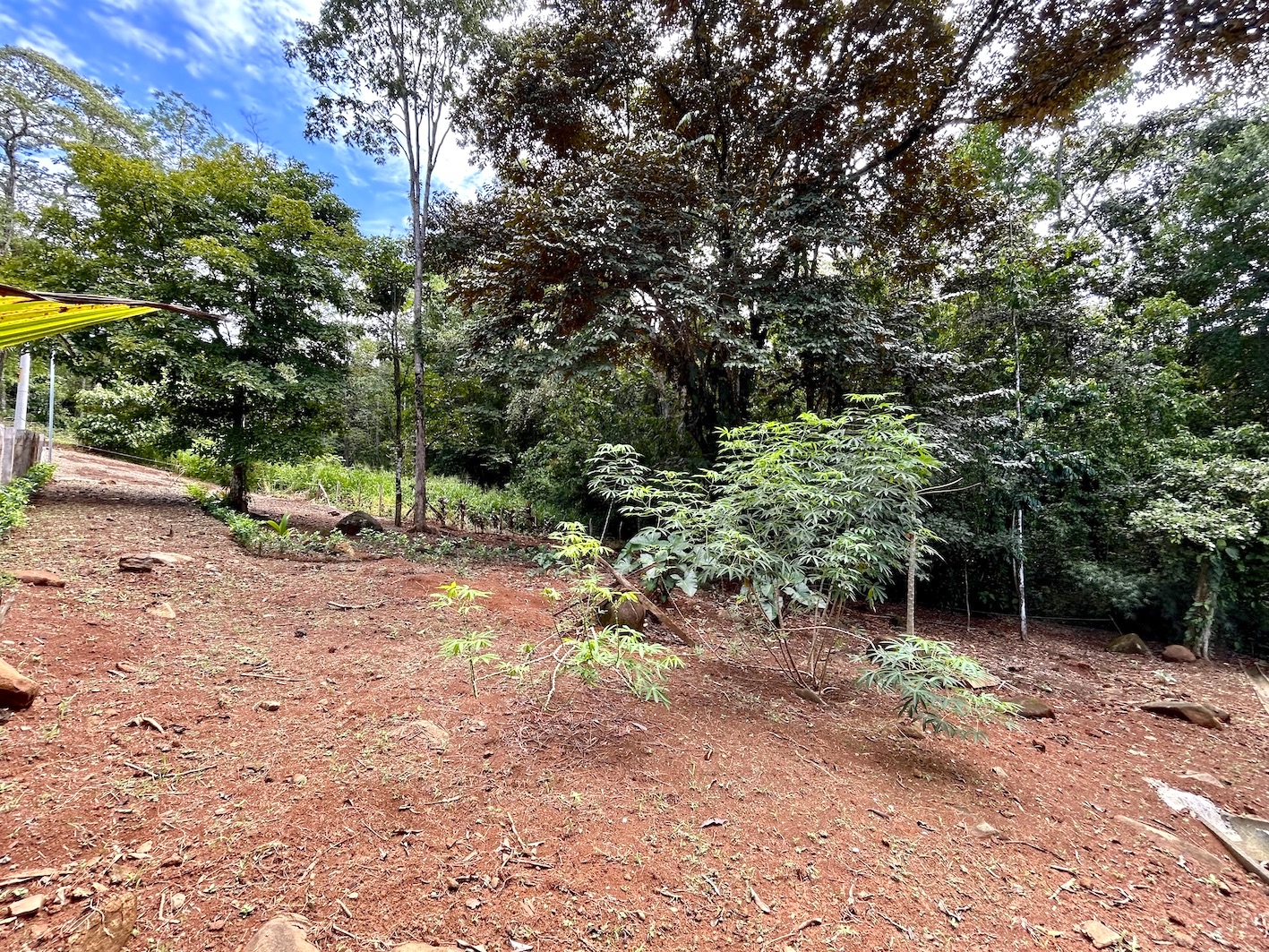0 bed Land For Sale in Uvita, Puntarenas - thumb 19