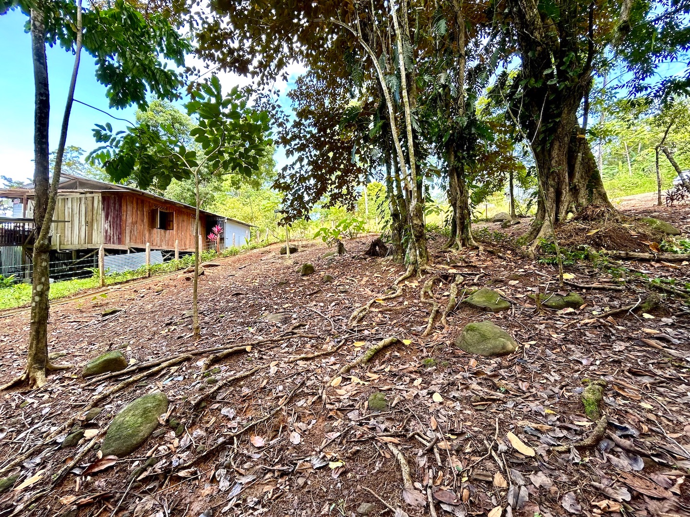 0 bed Land For Sale in Uvita, Puntarenas - thumb 22