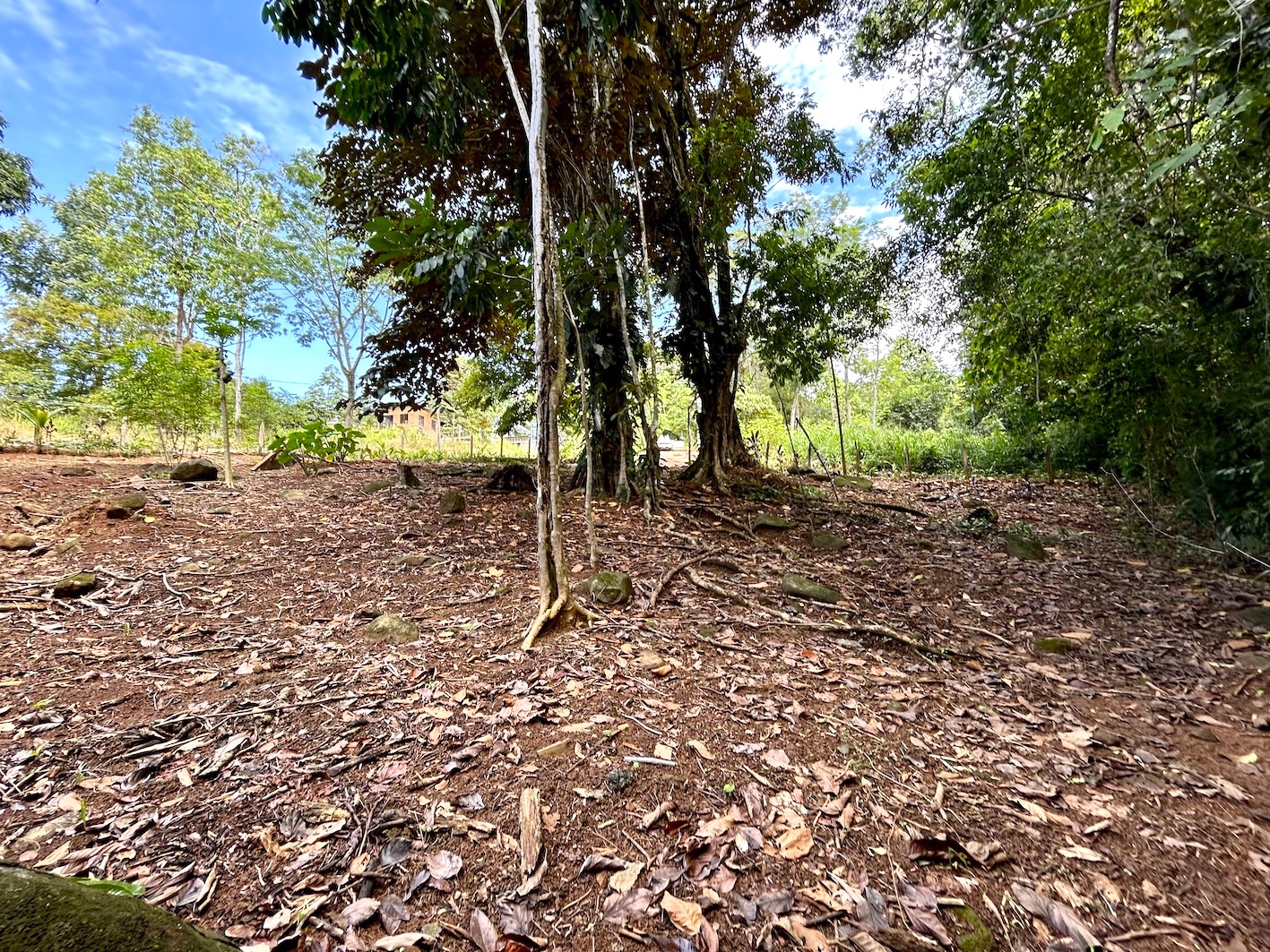 0 bed Land For Sale in Uvita, Puntarenas - thumb 20