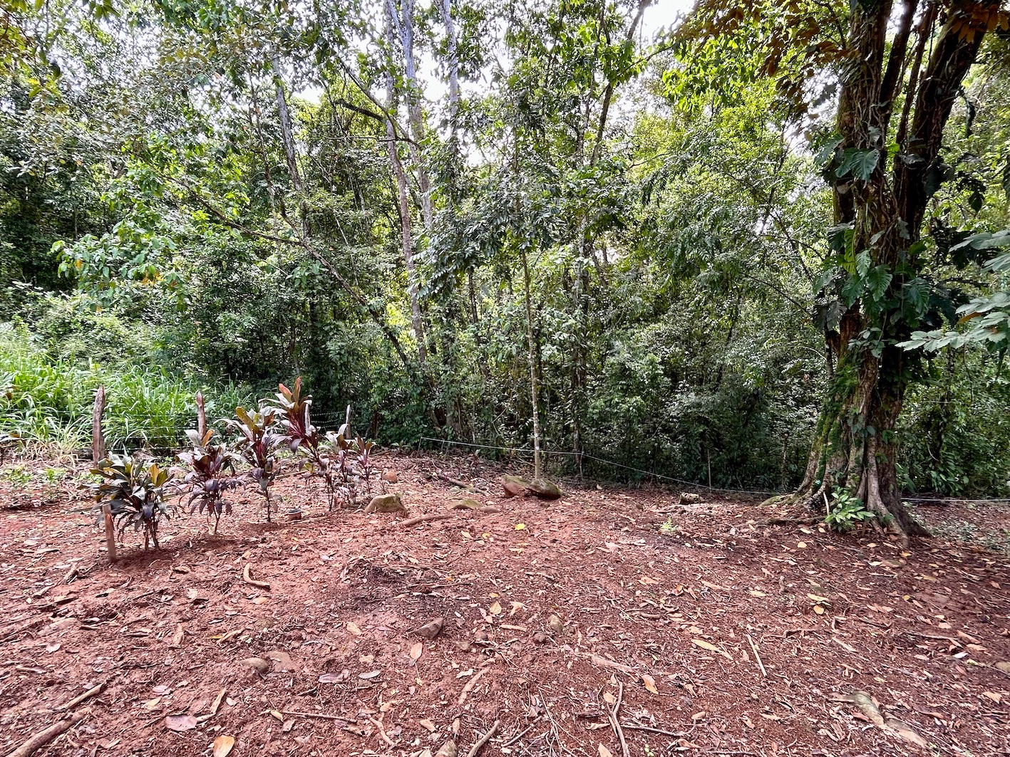 0 bed Land For Sale in Uvita, Puntarenas - thumb 15