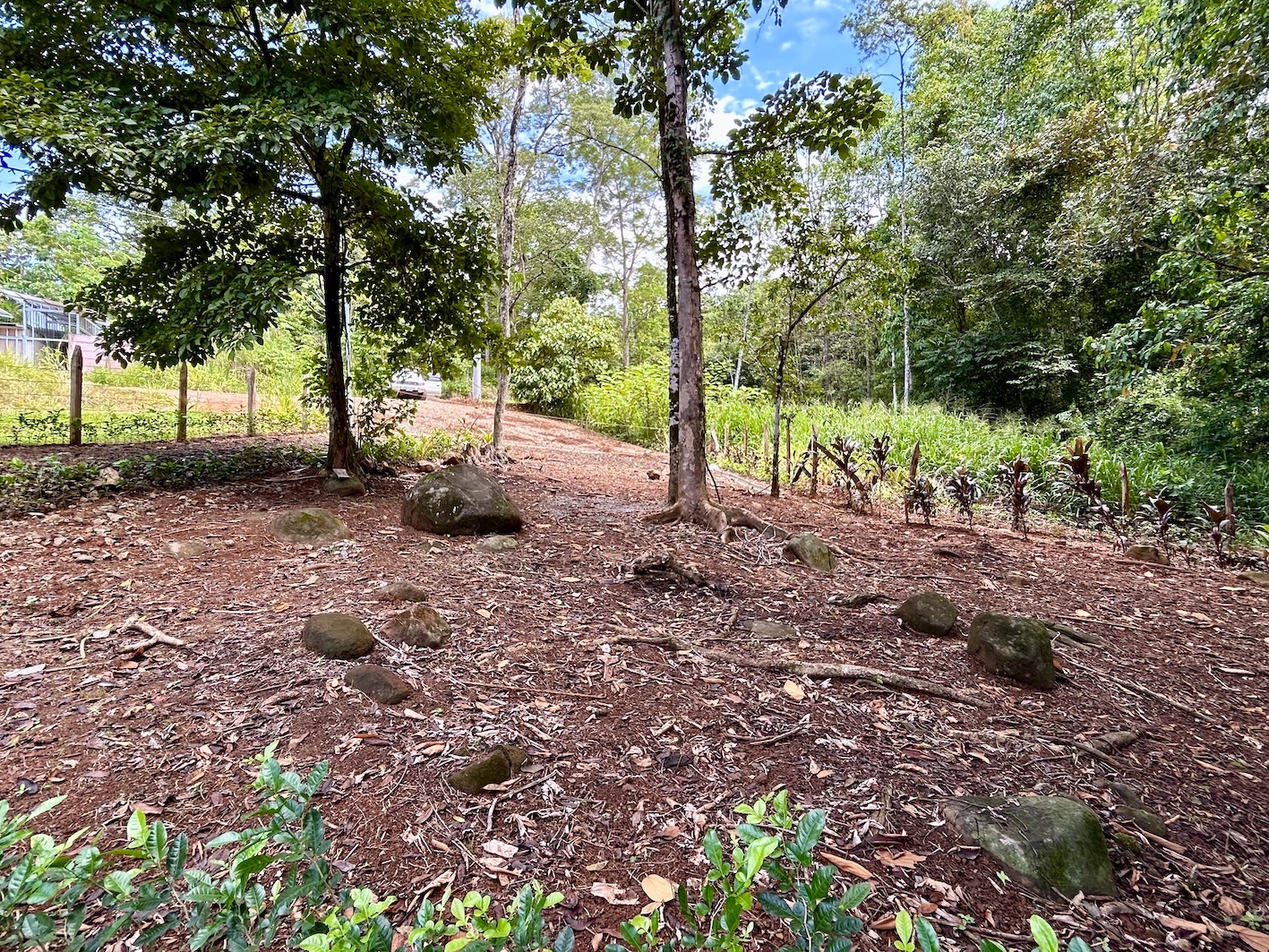 0 bed Land For Sale in Uvita, Puntarenas - thumb 16