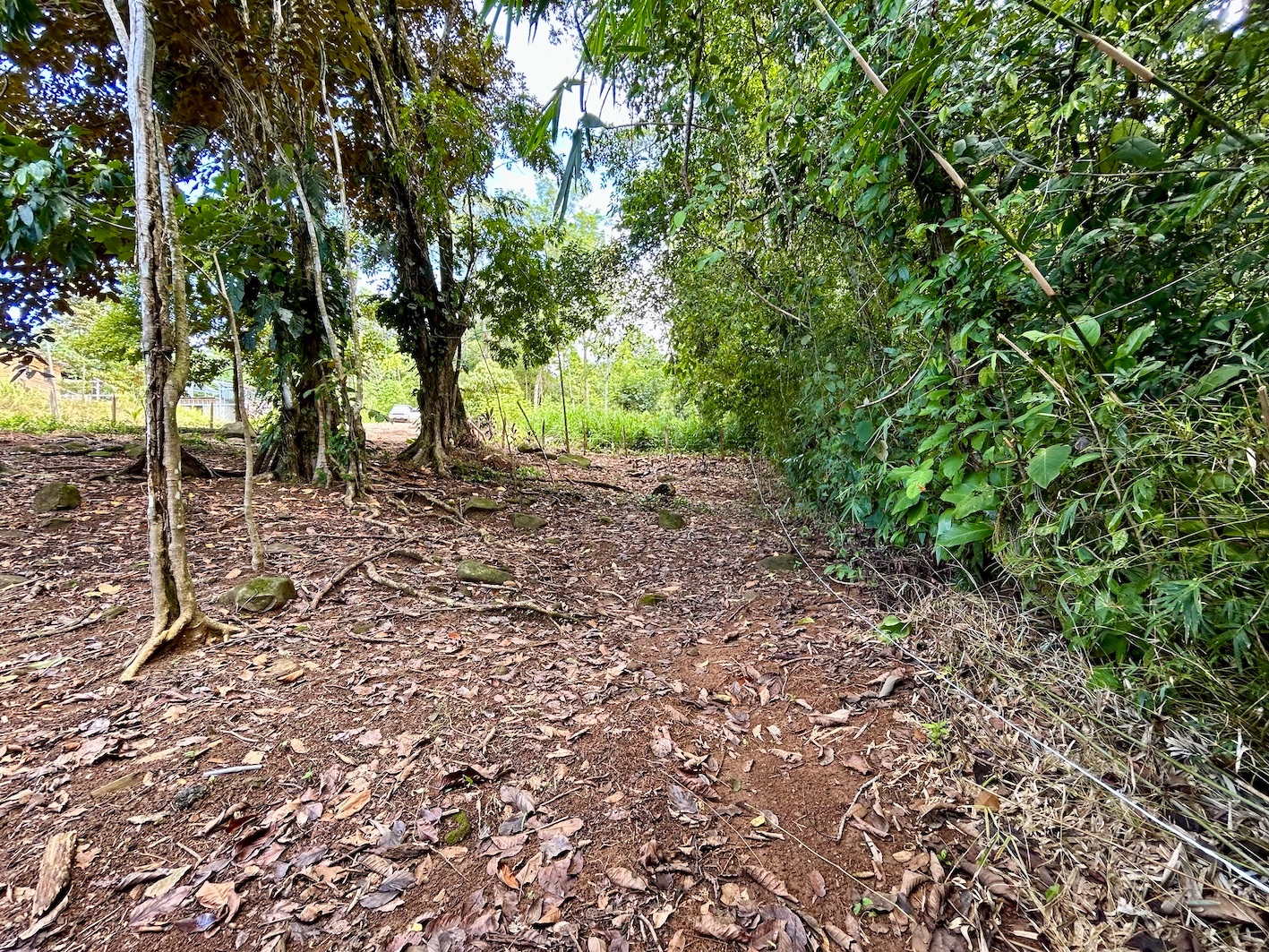 0 bed Land For Sale in Uvita, Puntarenas - thumb 21