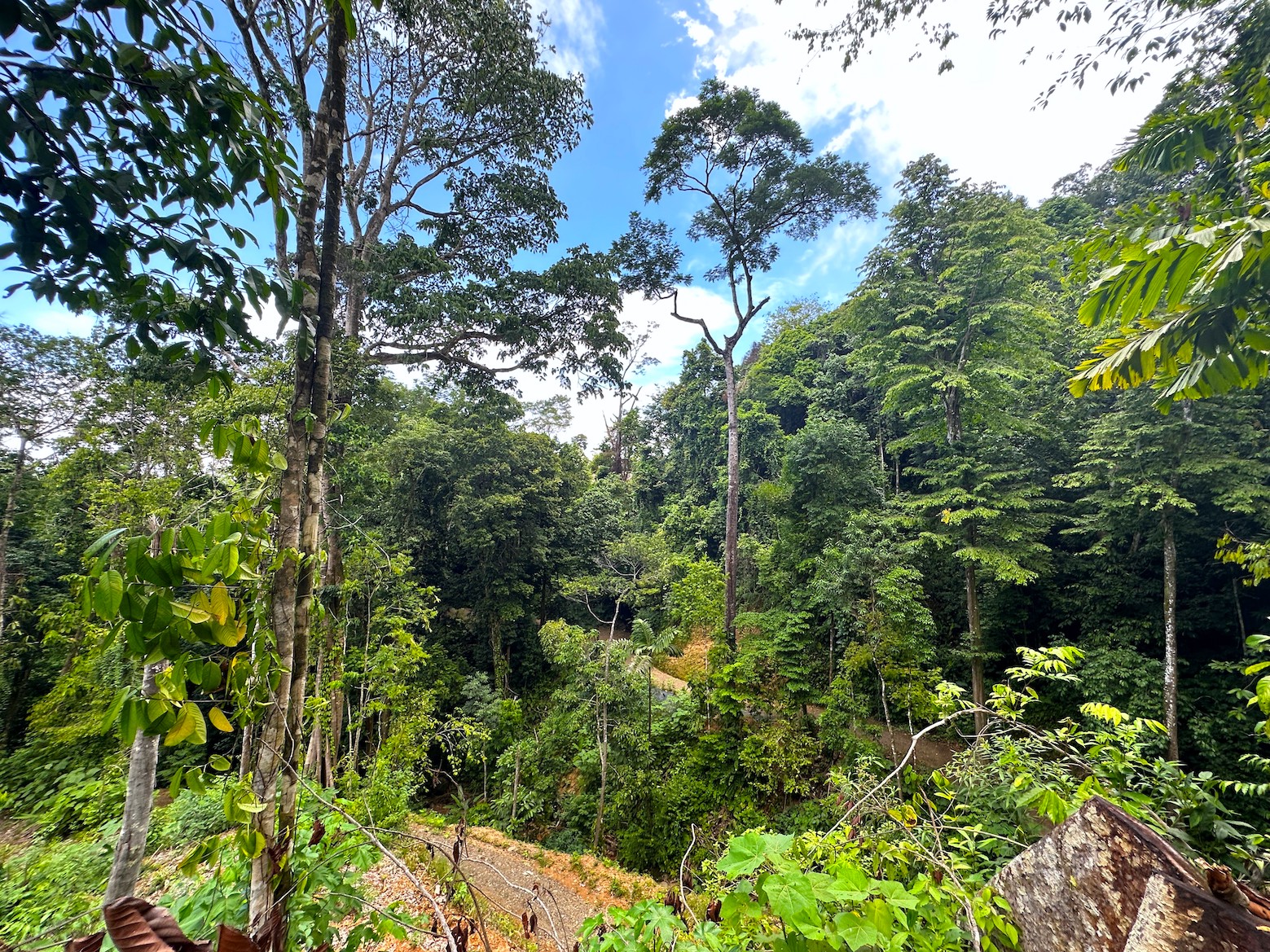 0 bed Land For Sale in Ojochal, Puntarenas - thumb 20