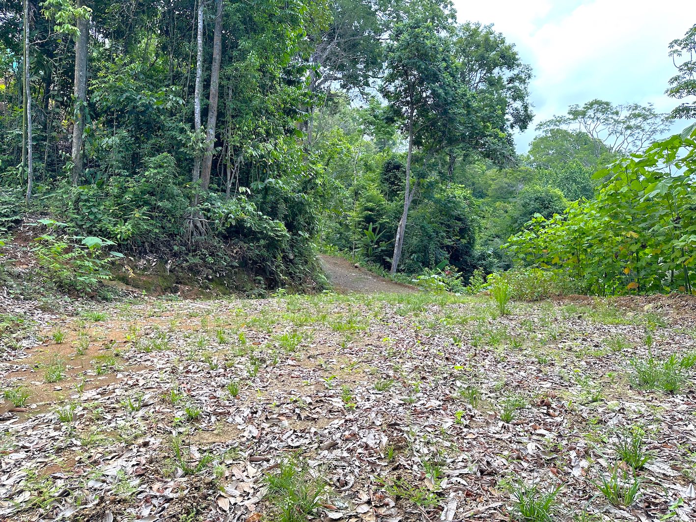 0 bed Land For Sale in Ojochal, Puntarenas - thumb 15