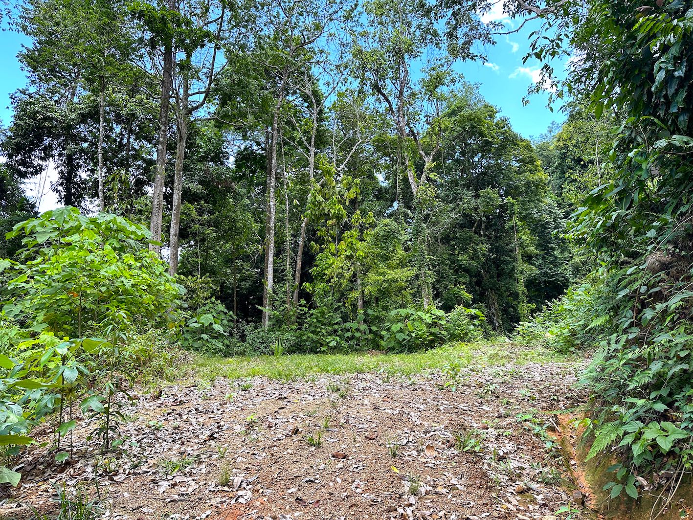 0 bed Land For Sale in Ojochal, Puntarenas - thumb 19
