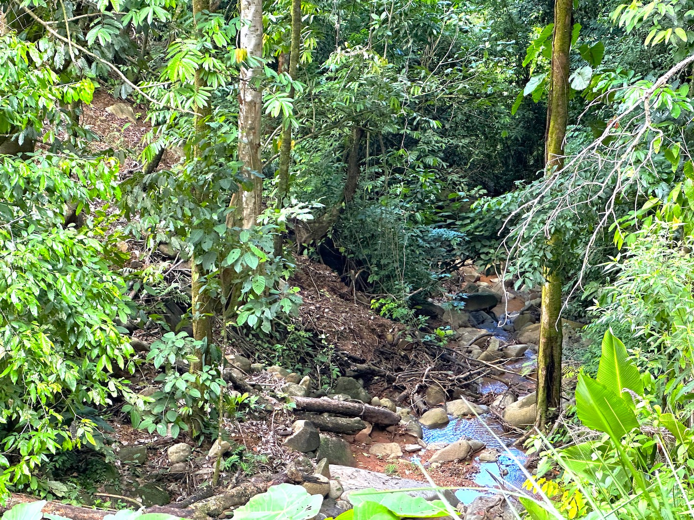 0 bed Land For Sale in Ojochal, Puntarenas - thumb 21