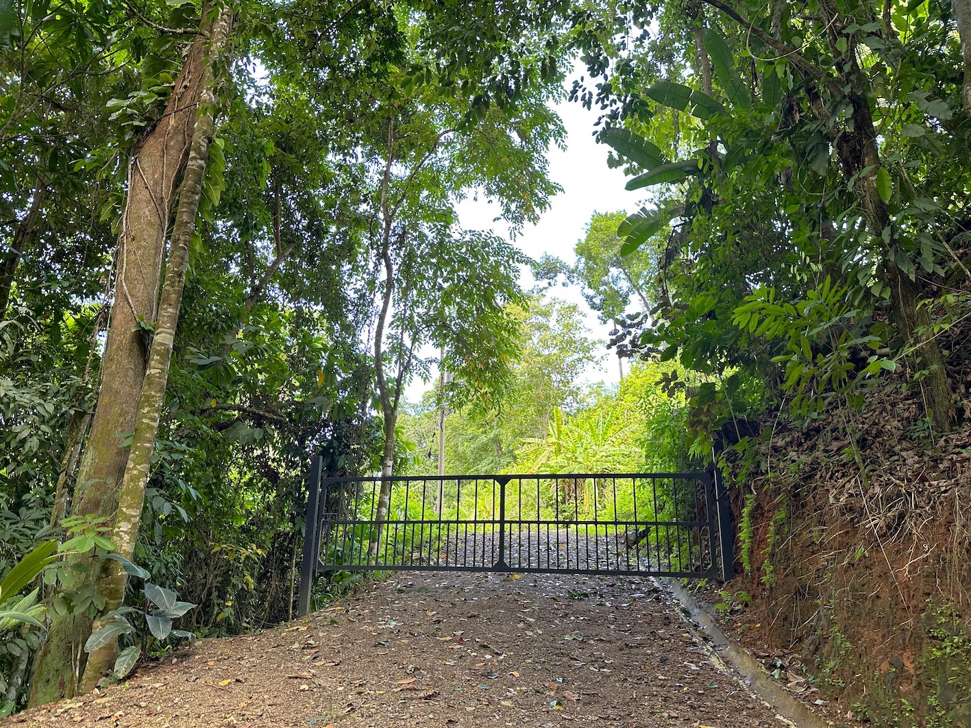 0 bed Land For Sale in Ojochal, Puntarenas - thumb 12