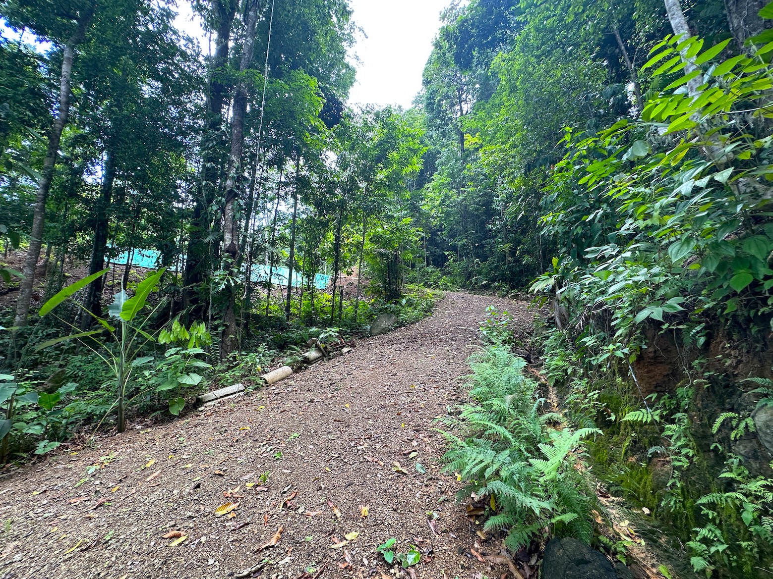 0 bed Land For Sale in Ojochal, Puntarenas - thumb 7