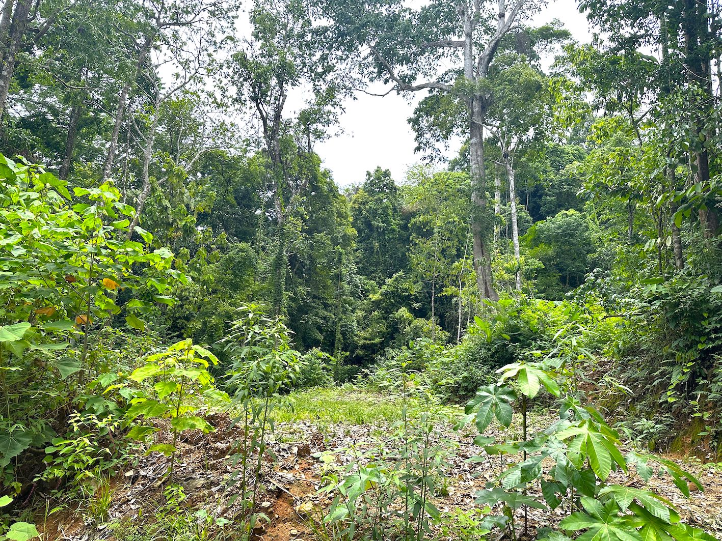 0 bed Land For Sale in Ojochal, Puntarenas - thumb 18