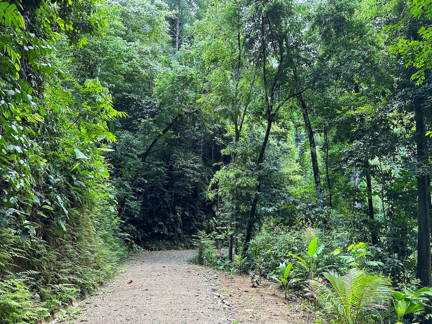 0 bed Land For Sale in Ojochal, Puntarenas - thumb 9