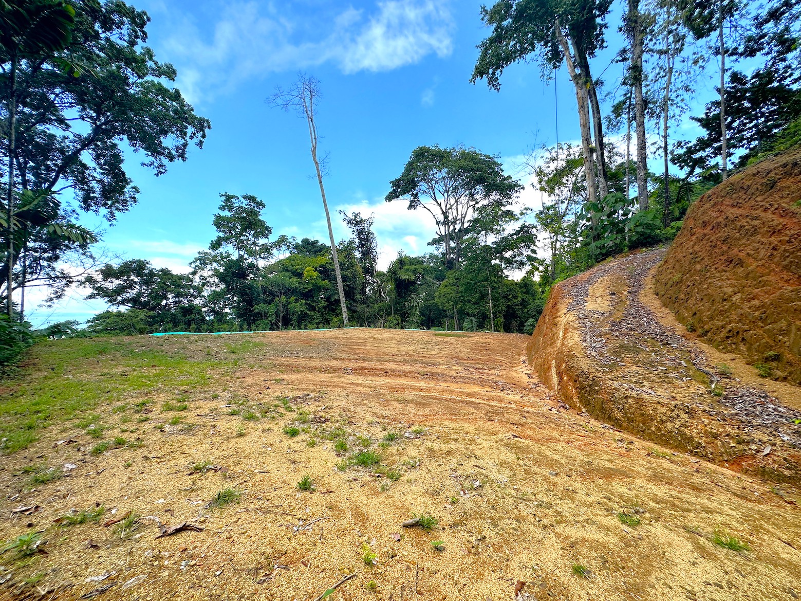 0 bed Land For Sale in Ojochal, Puntarenas - thumb 3