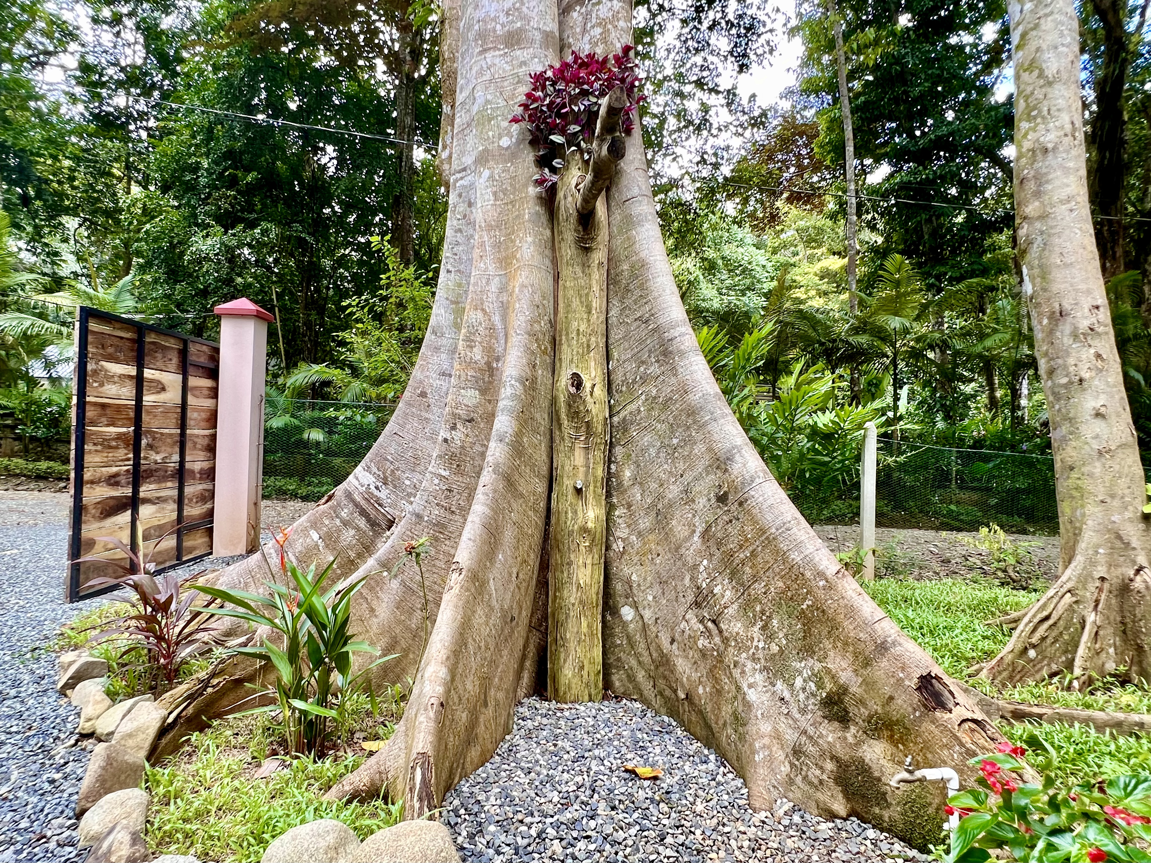 3 bed Single Family Homes For Sale in Ojochal, Puntarenas - thumb 27